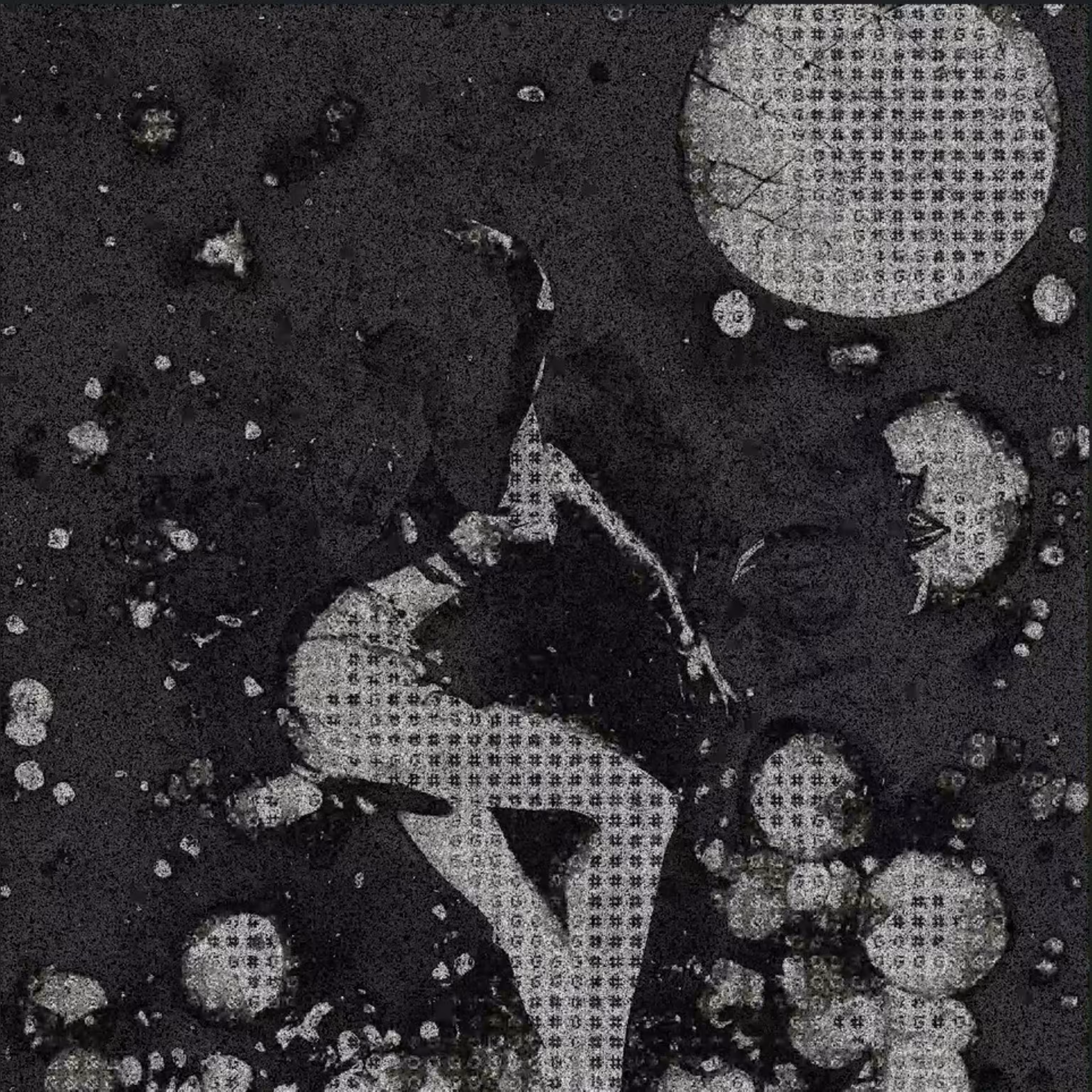 GM [500] - V - 3 / Disco Monochrome 