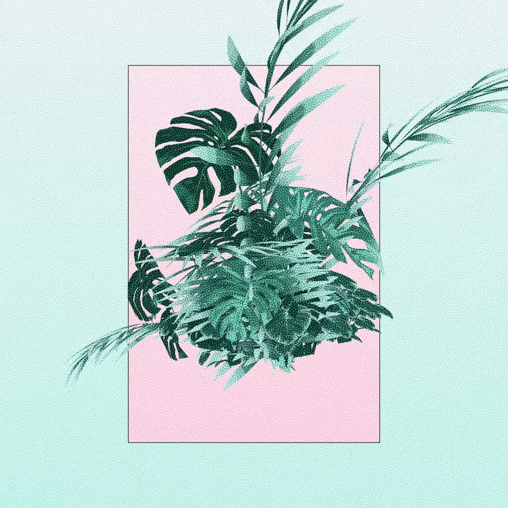 Botany #105