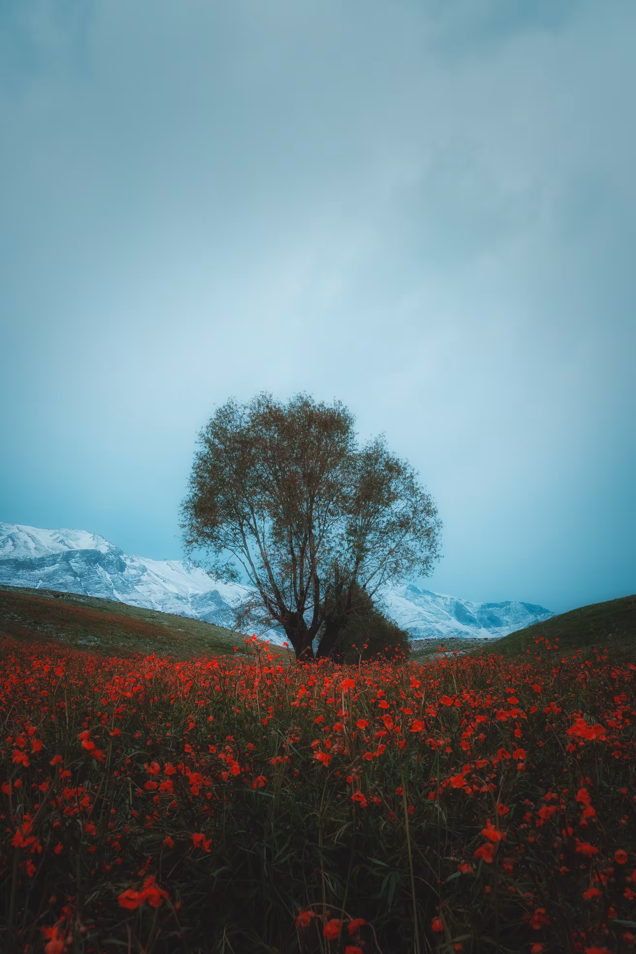 Standing Alone