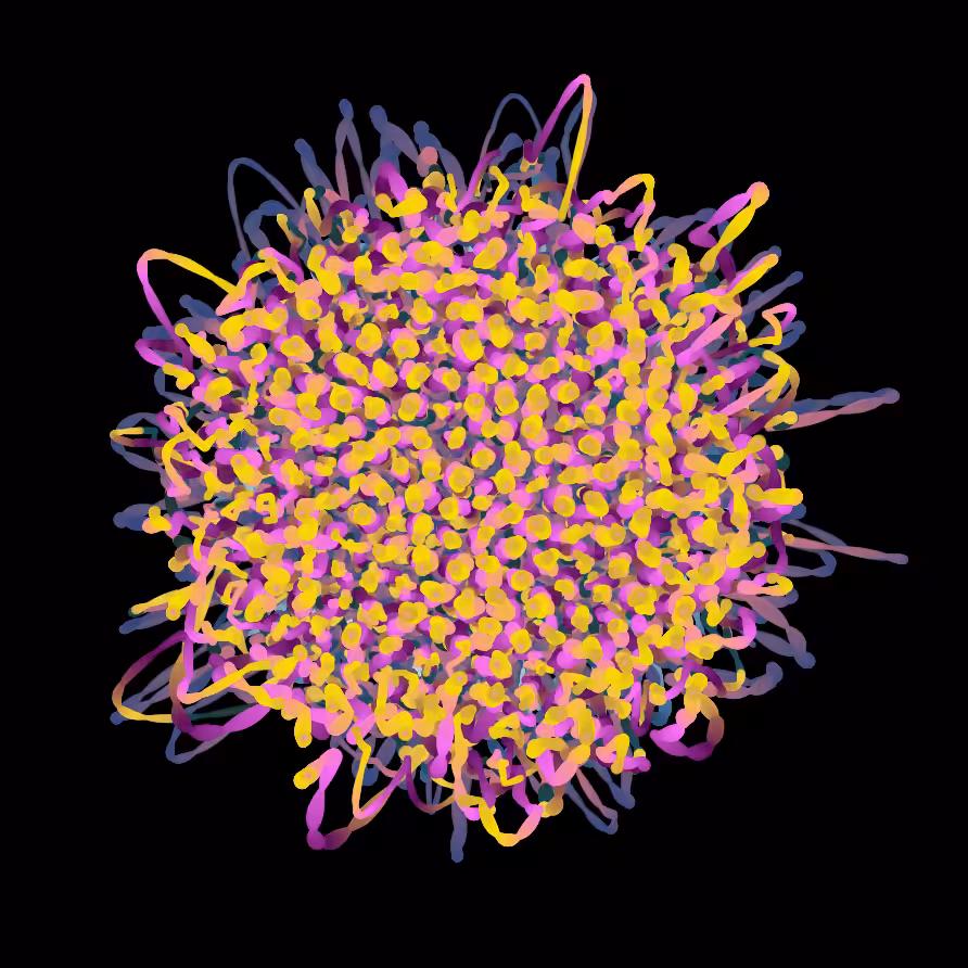 Sunflower Firework #1 (in yellow/pink)
