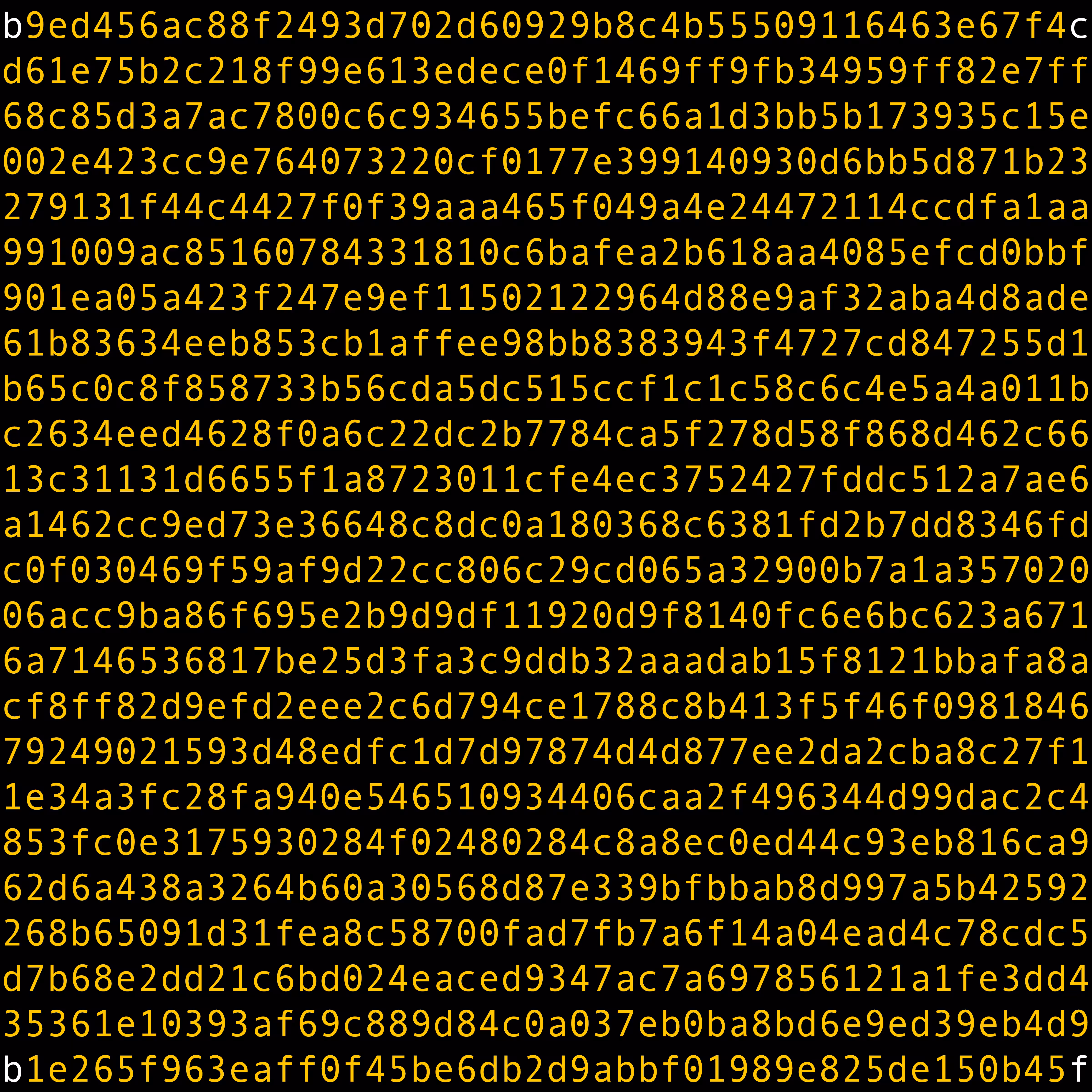 1111 #0243