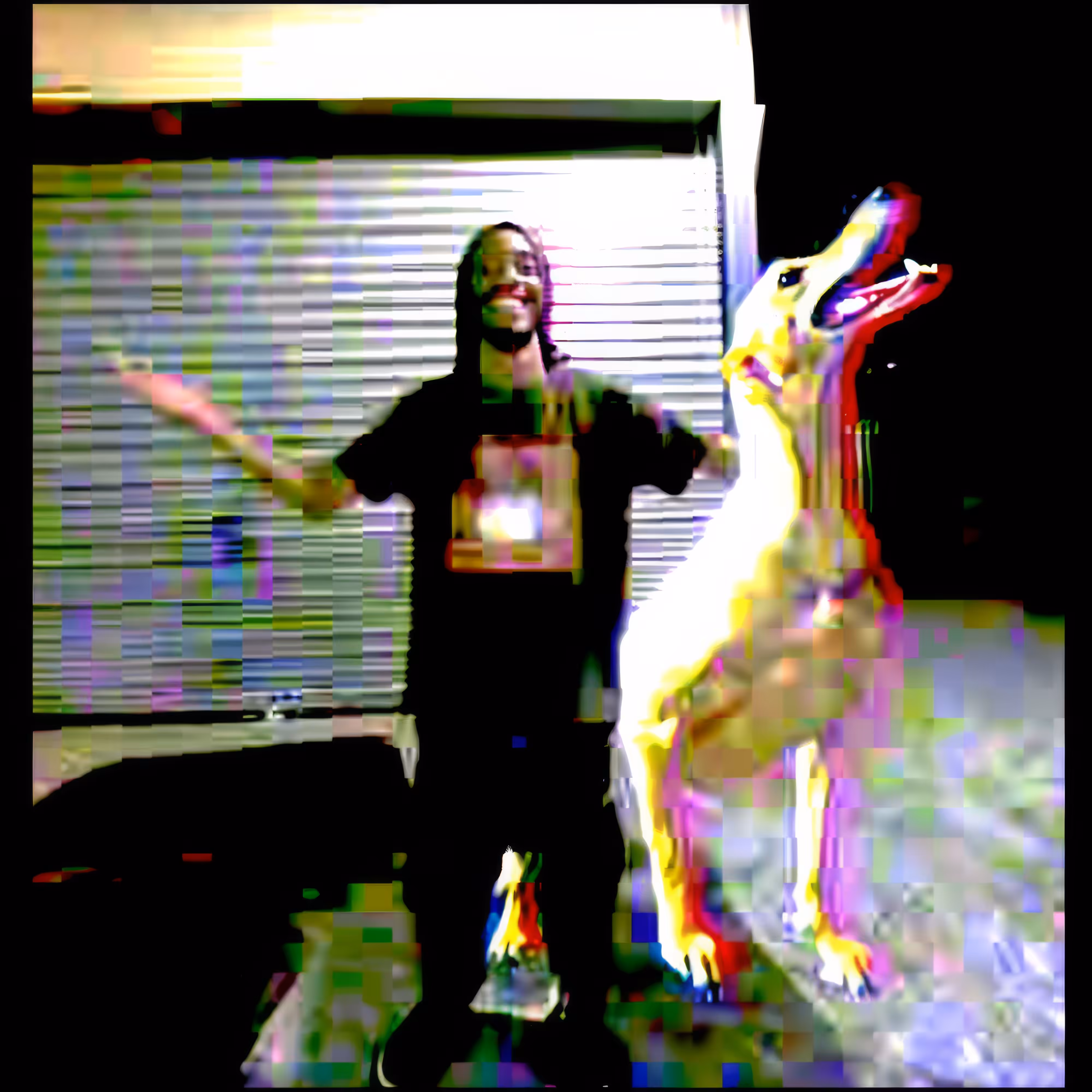 BAD JPEGs: Photoshop-Pooch