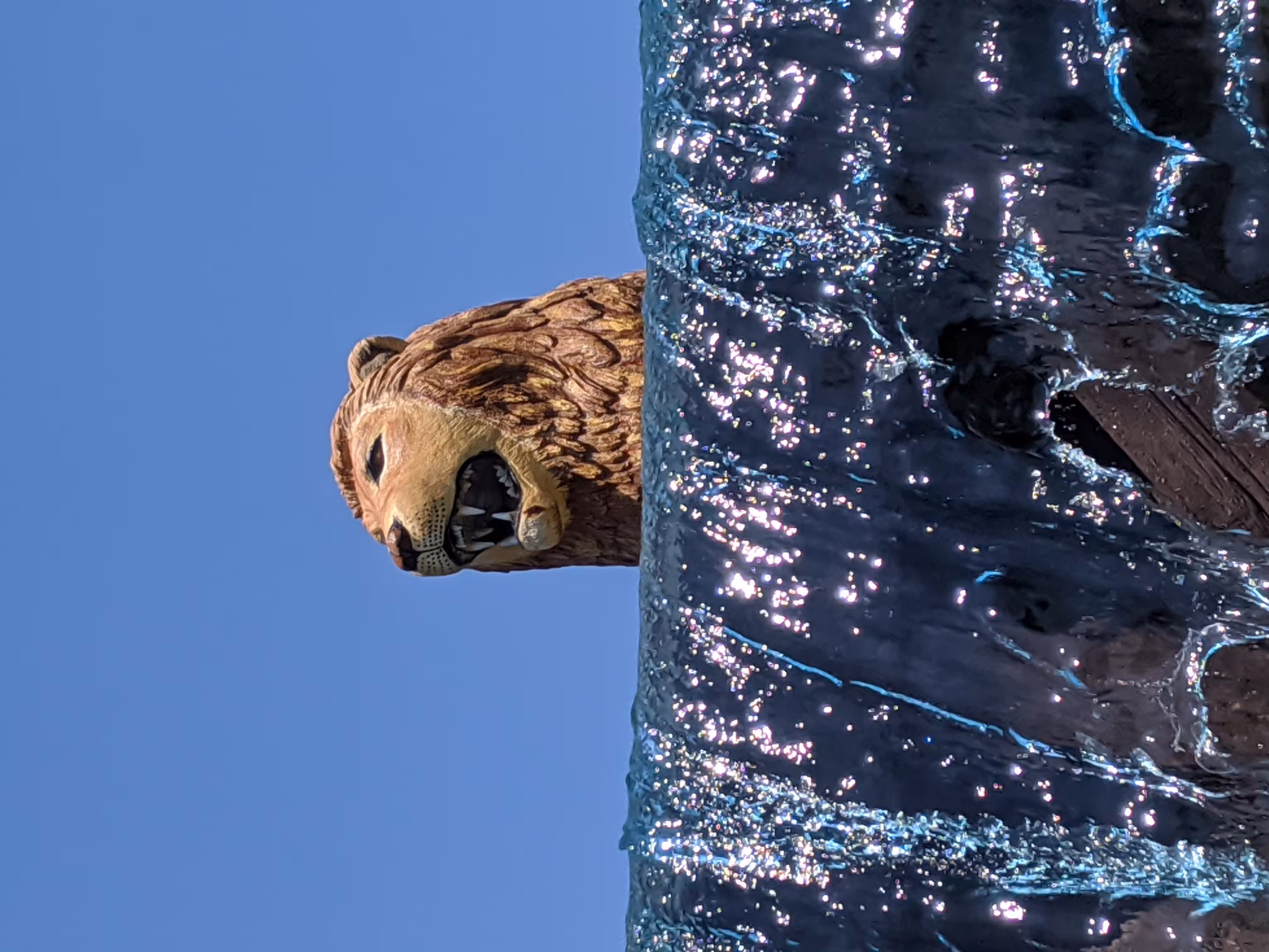 Lion Pride Over Waterfall