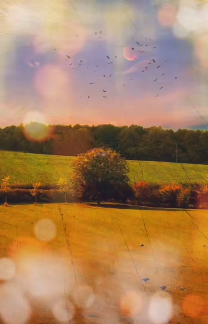 'something will come free'