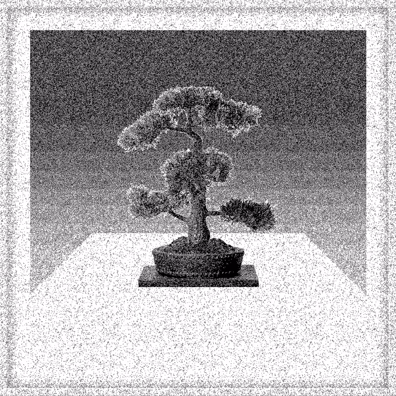 Bonsai Bonanza #11