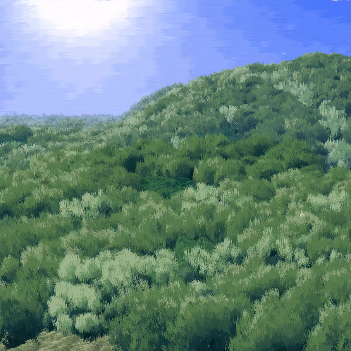 Provence #113