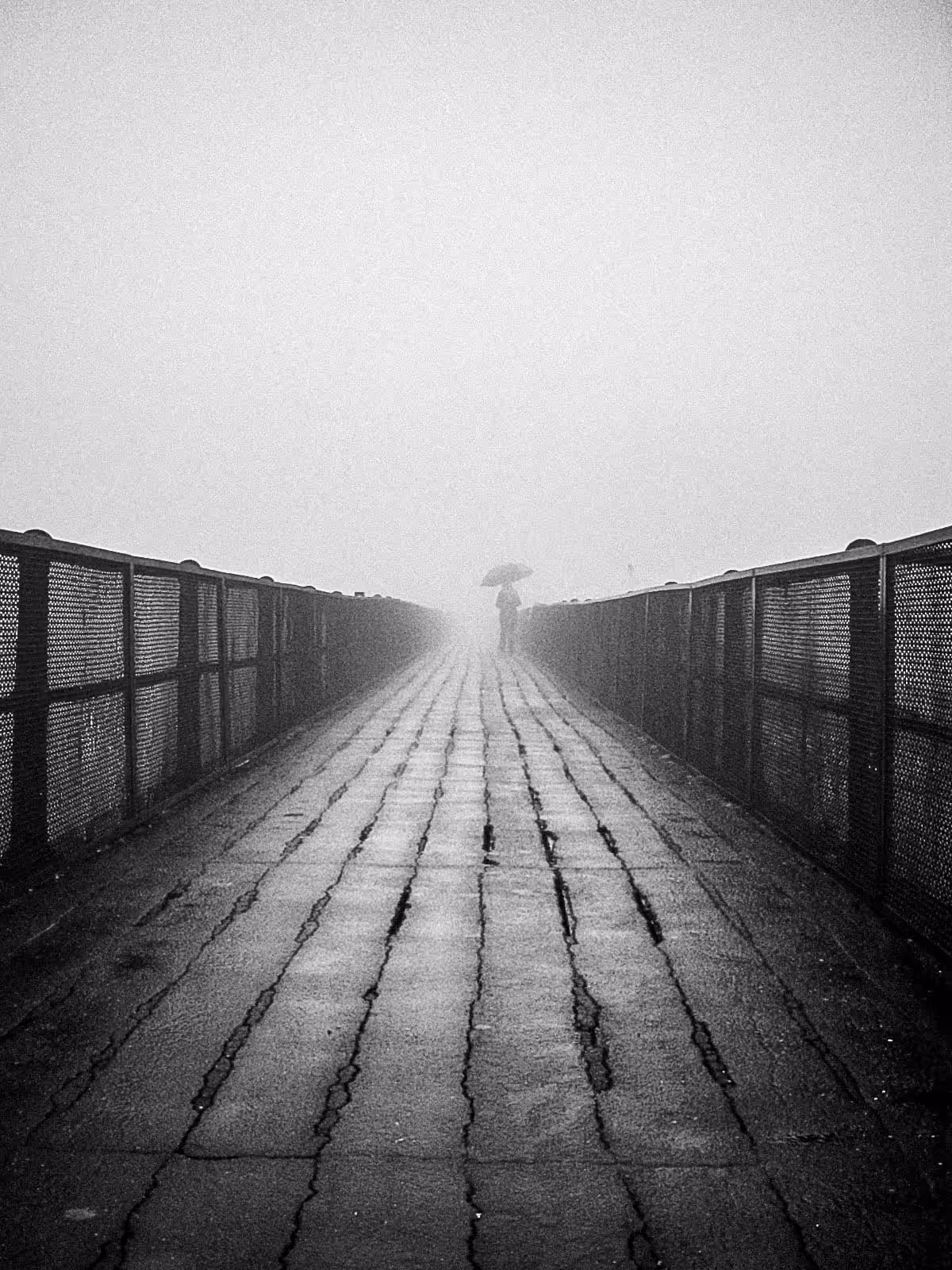 The Crossing