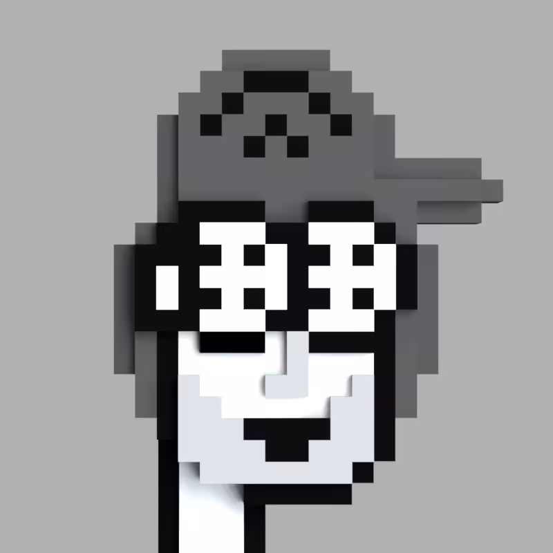 VoxelCobiePunk