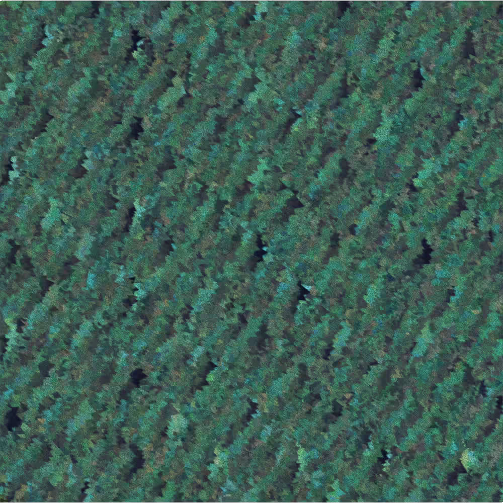 Obfuscation #43