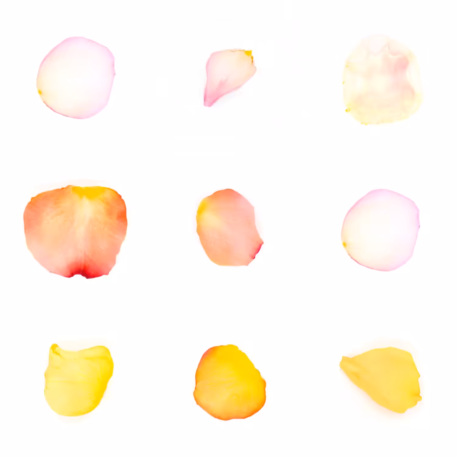 Infinite Petals 3x3#20399