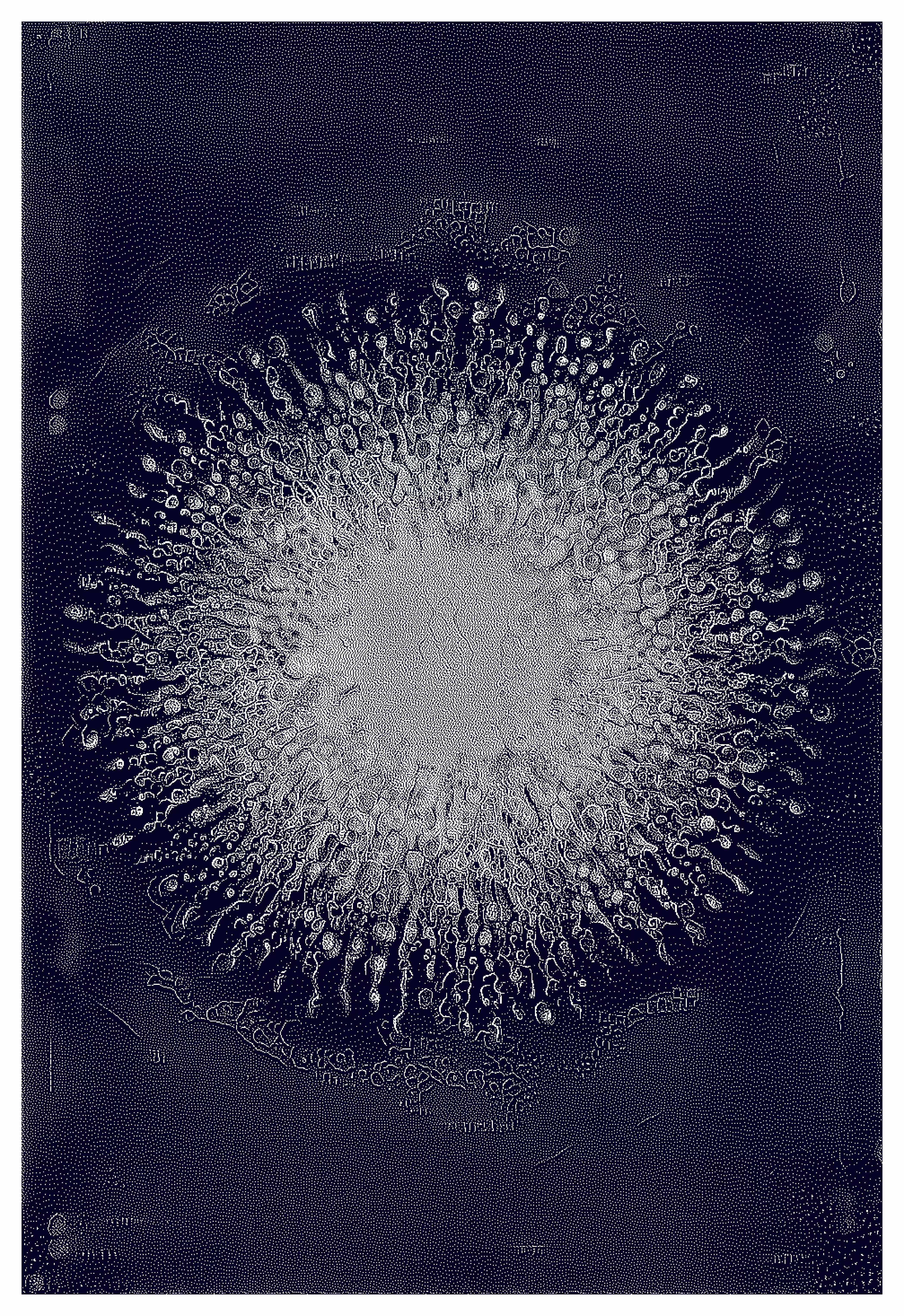 Heliozoa_III