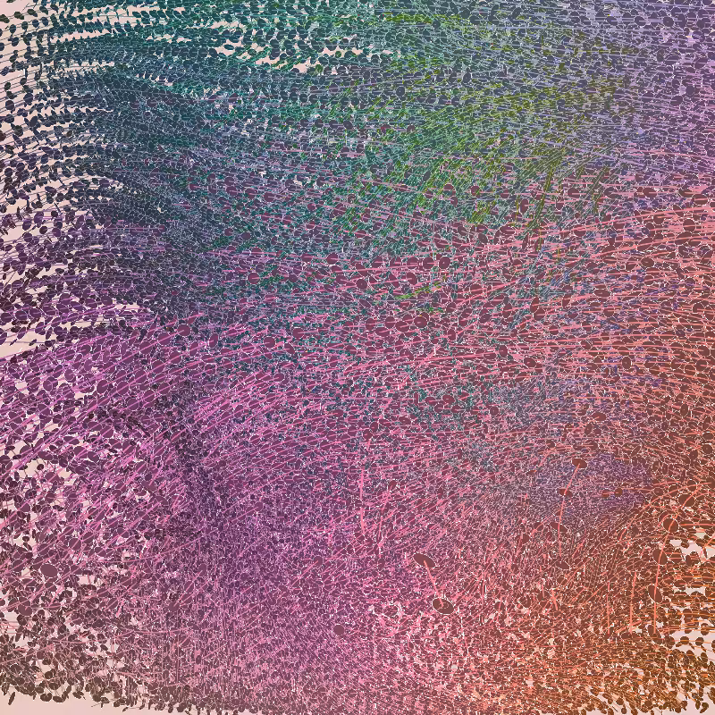 u. Growth #7