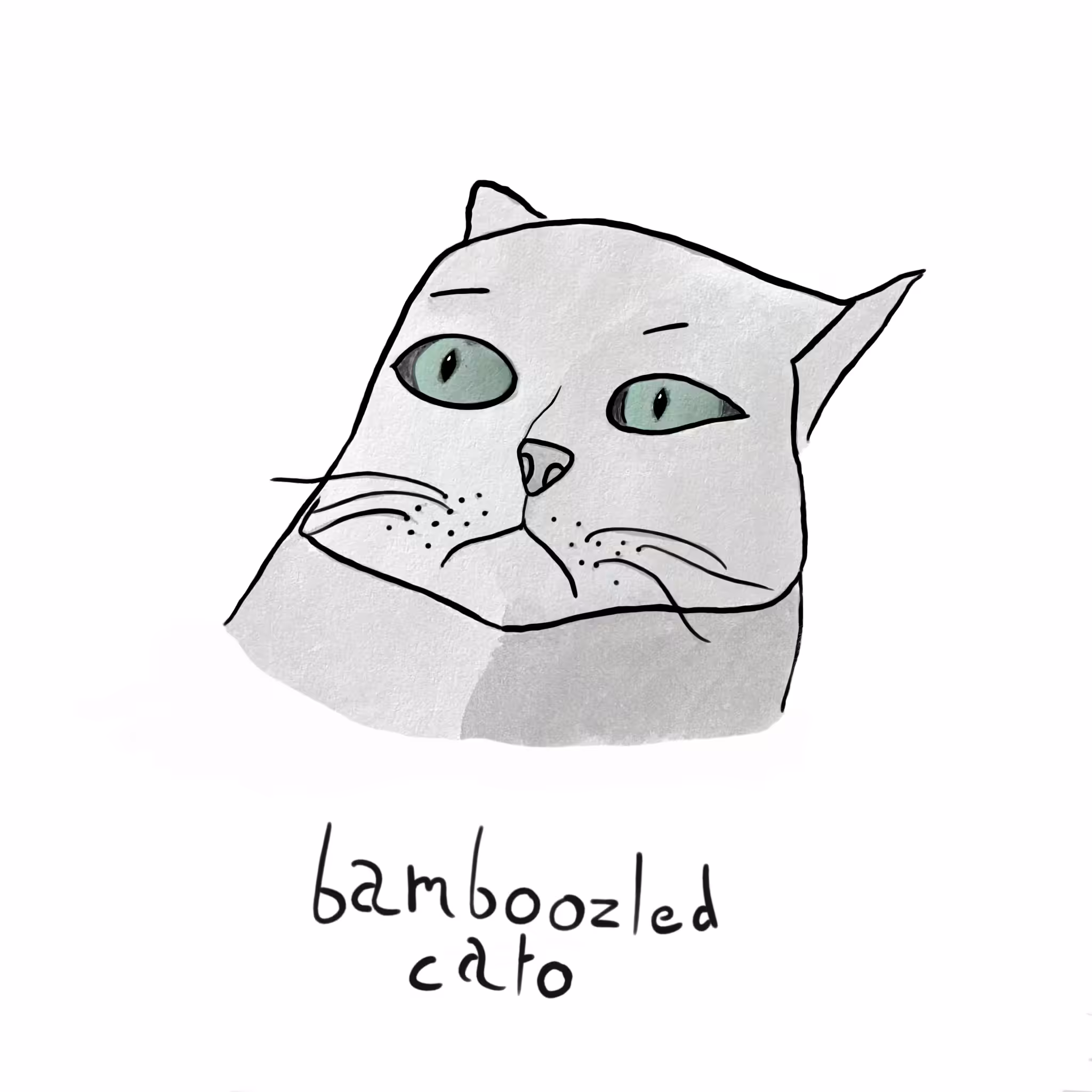 Bamboozled Cato