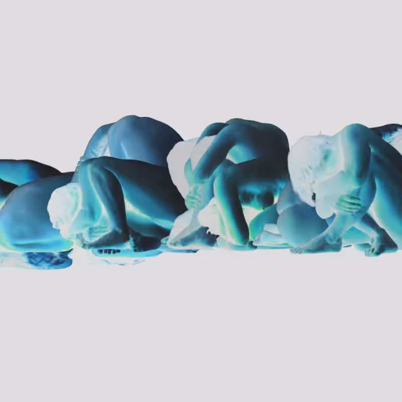 body landscapes #25