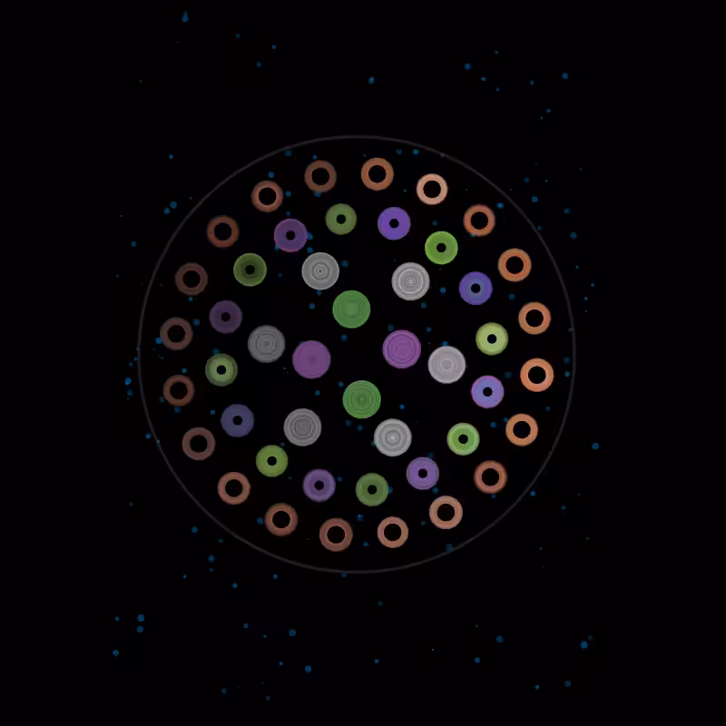 Fluidynamix - Rings #63