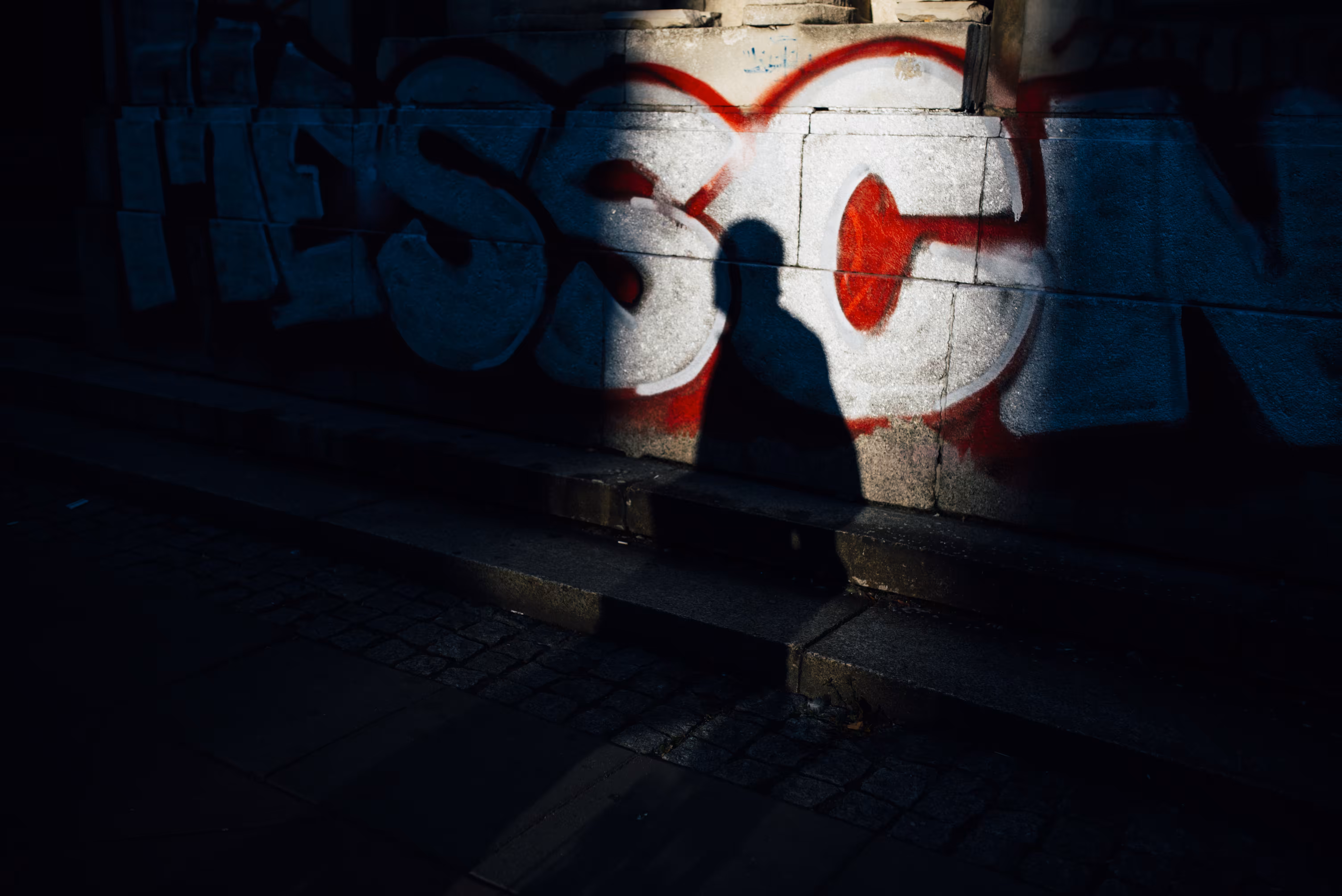 Sliced Shadow