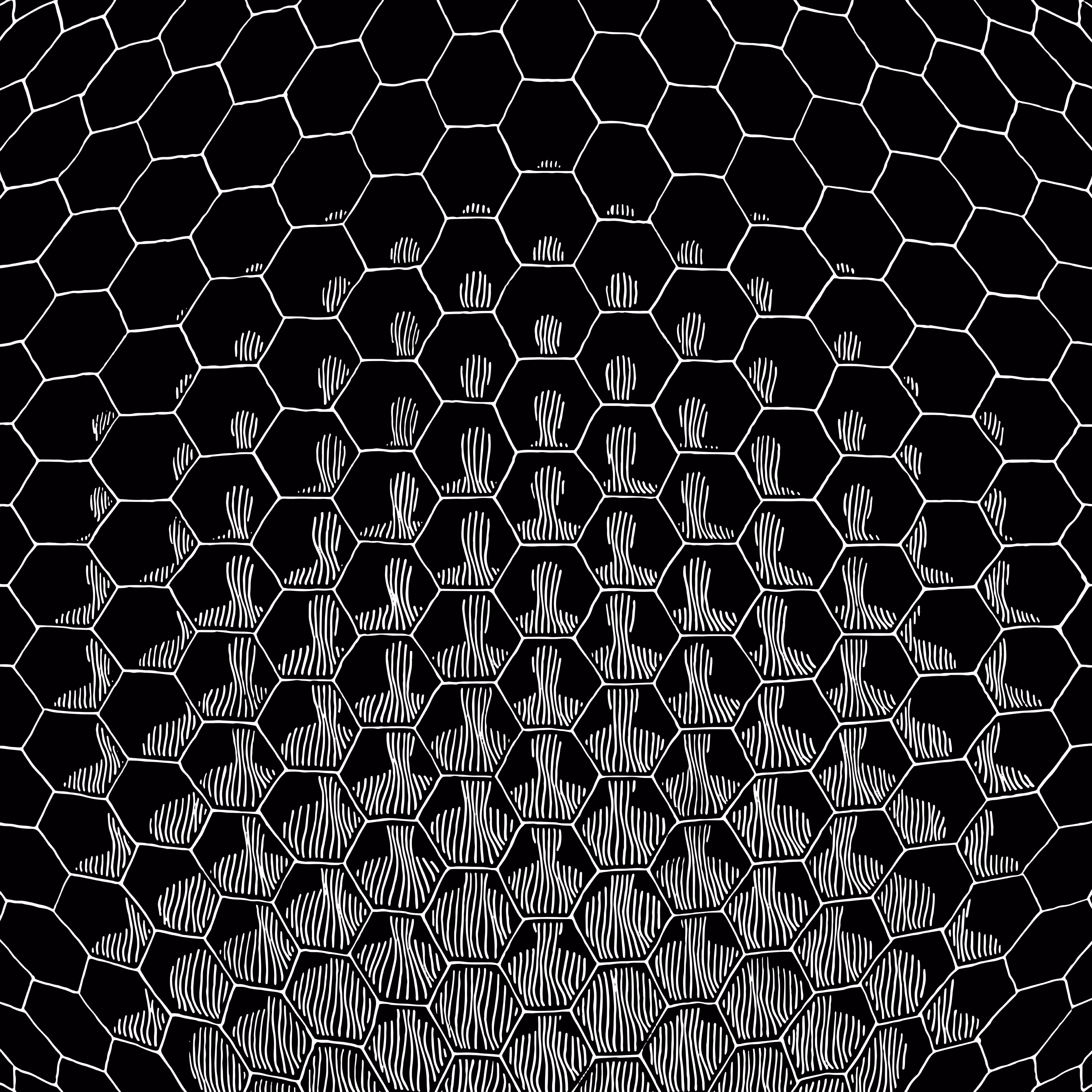 Point of View