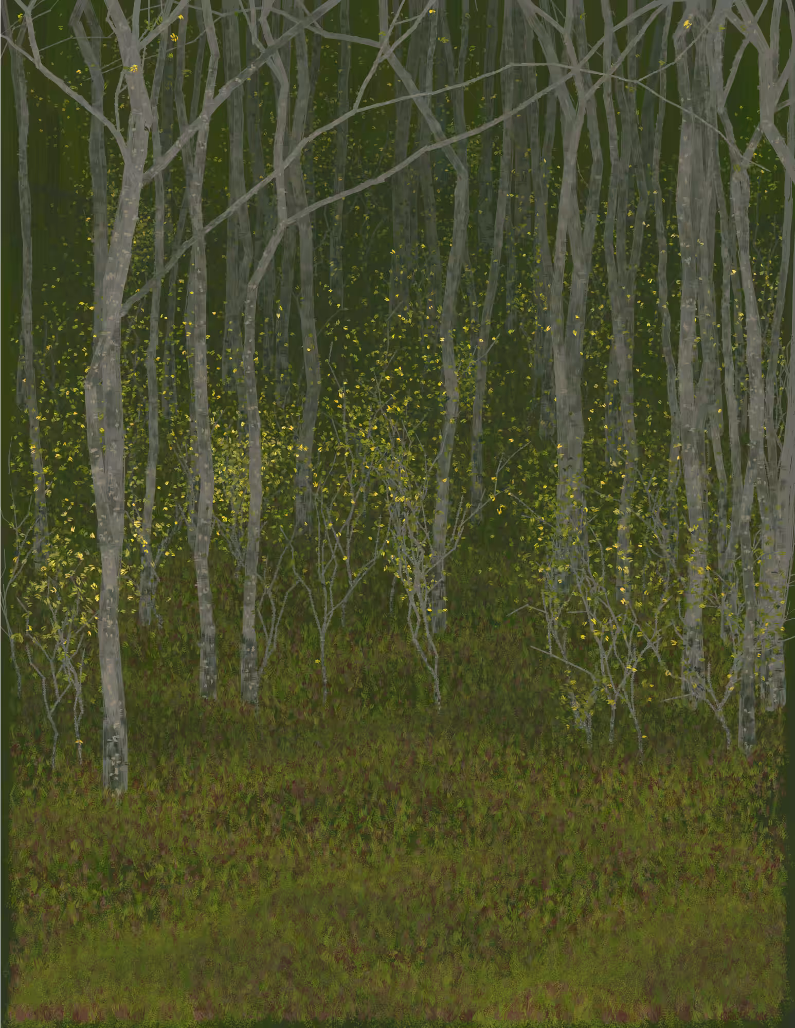 Deep Forest #288