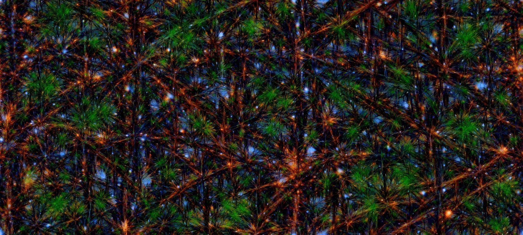 Neural Fireworks