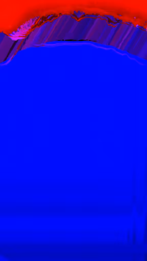 corruption¹⁹