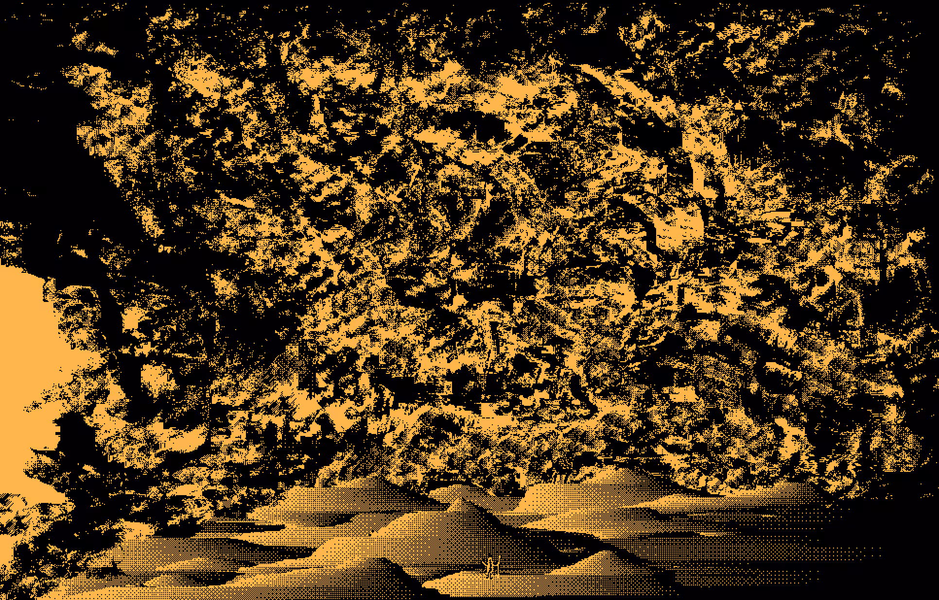 the_pilgrim_and_the_sandstorm