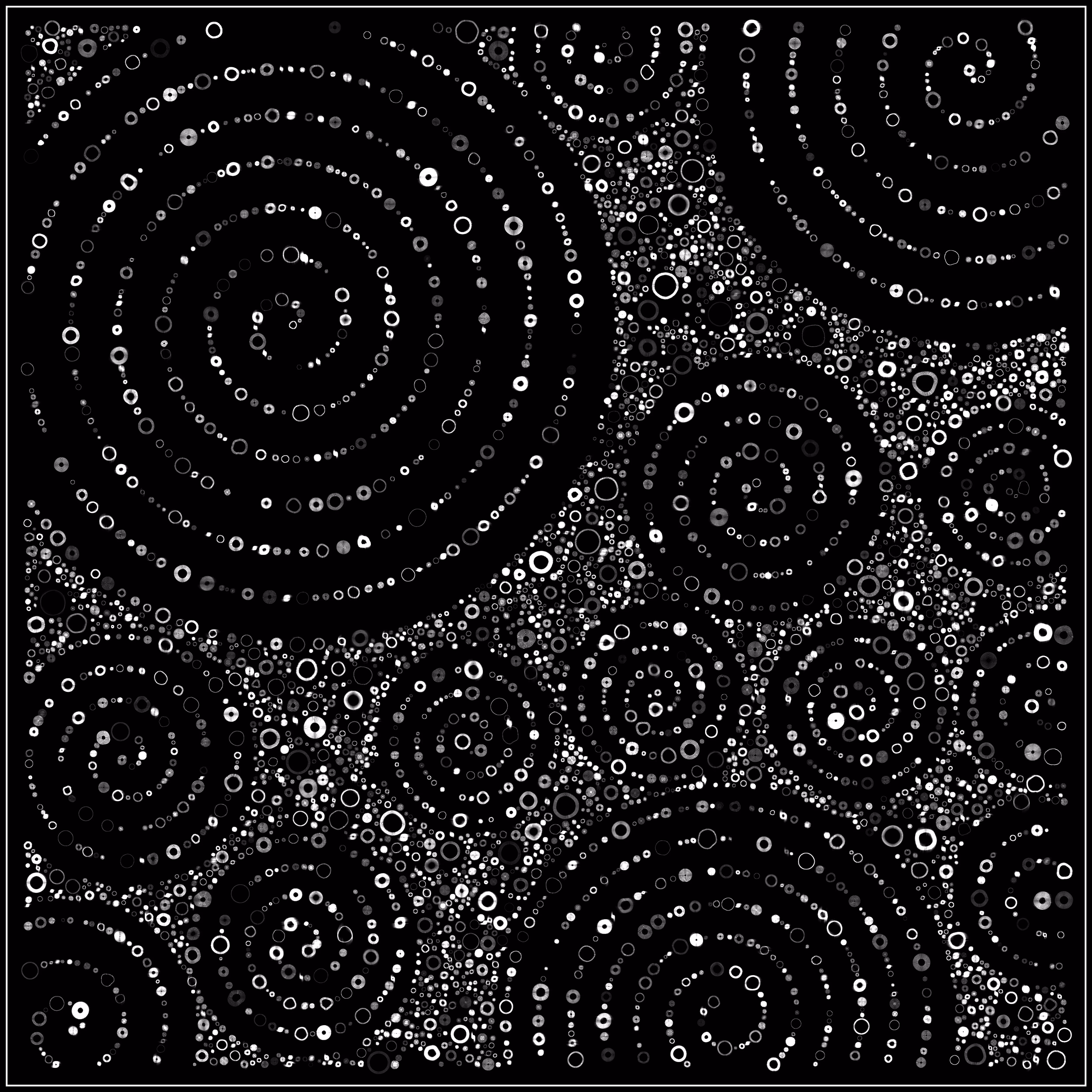 Spiral Bound, Alternate