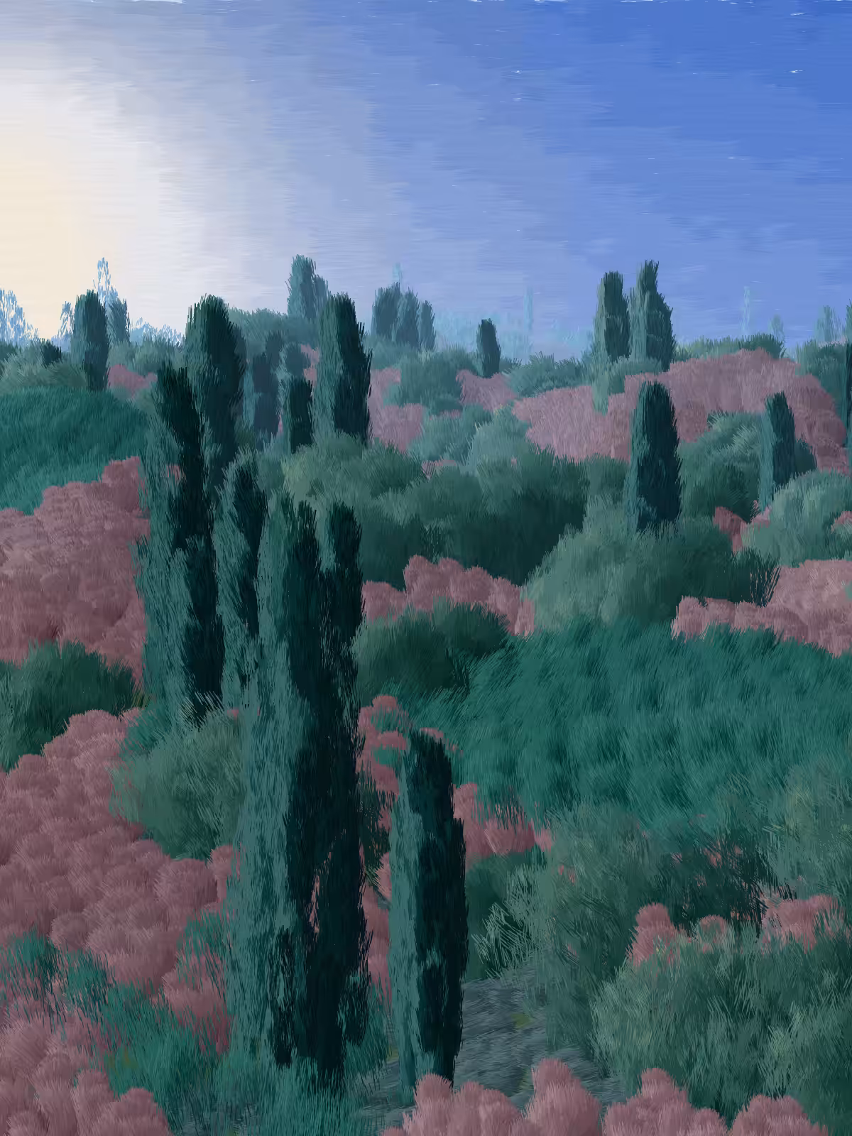 Provence #503