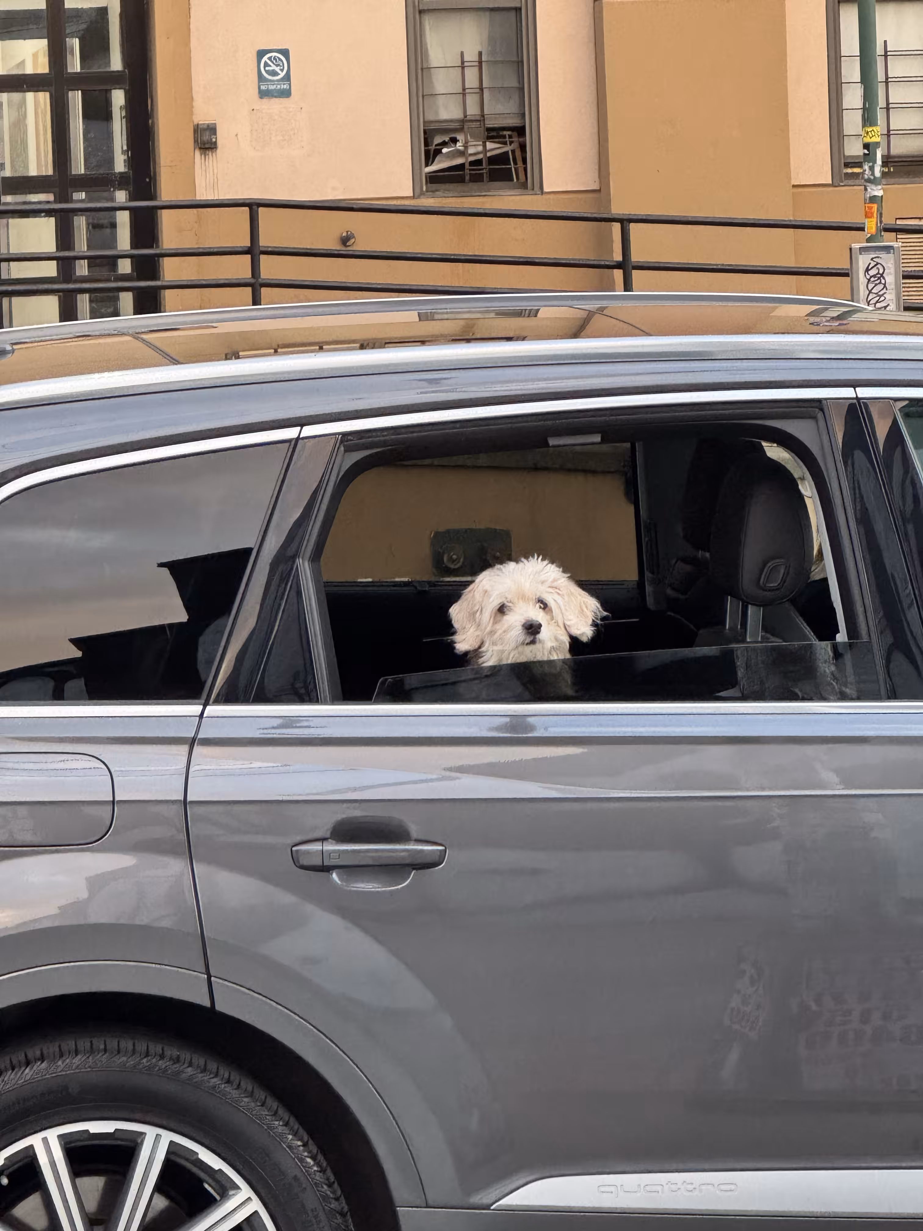 goodbye, goodboy