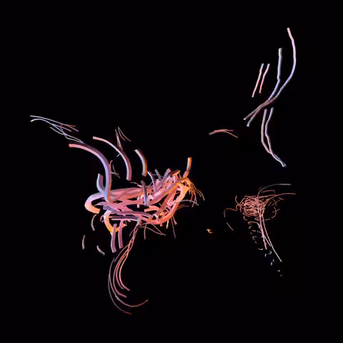 Turmoil