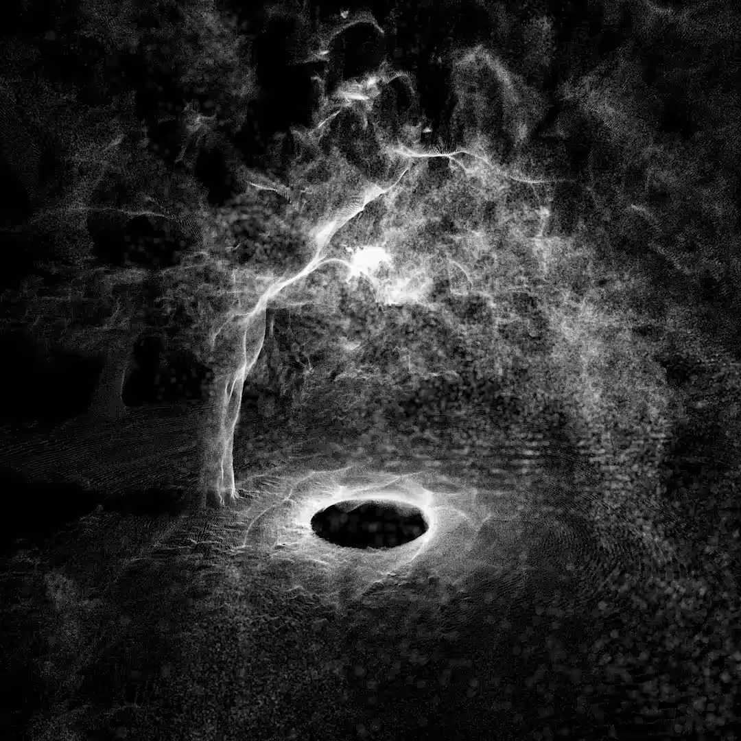 Ritual Nature (Temescal Canyon)