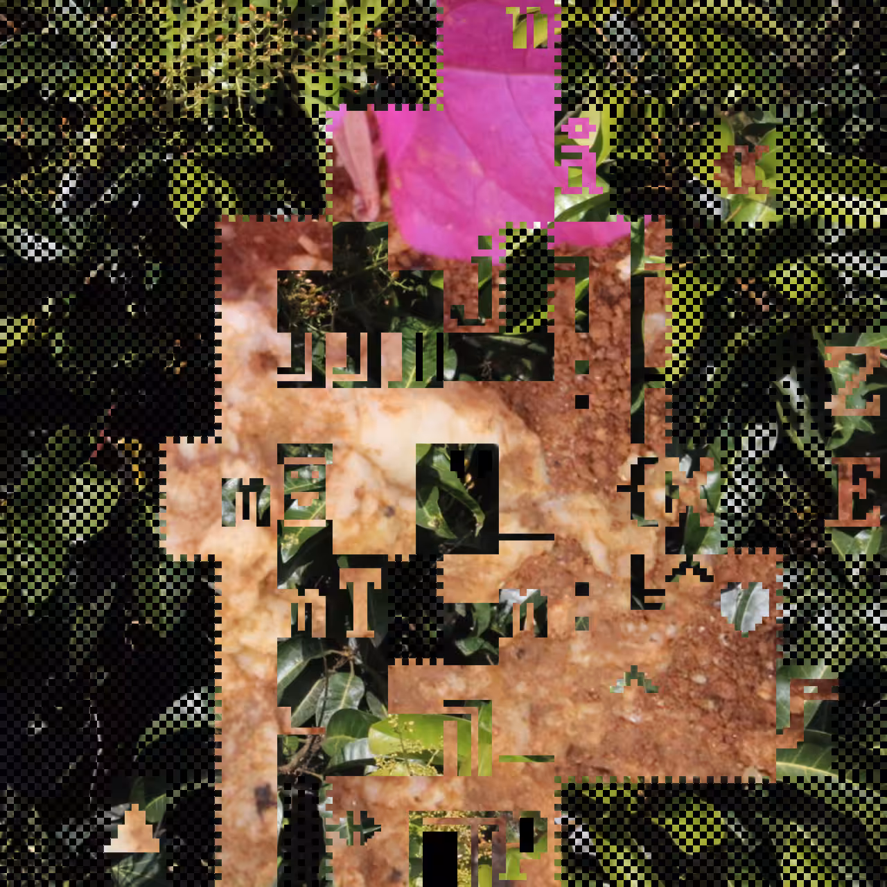 PhotoDOSpunk #26