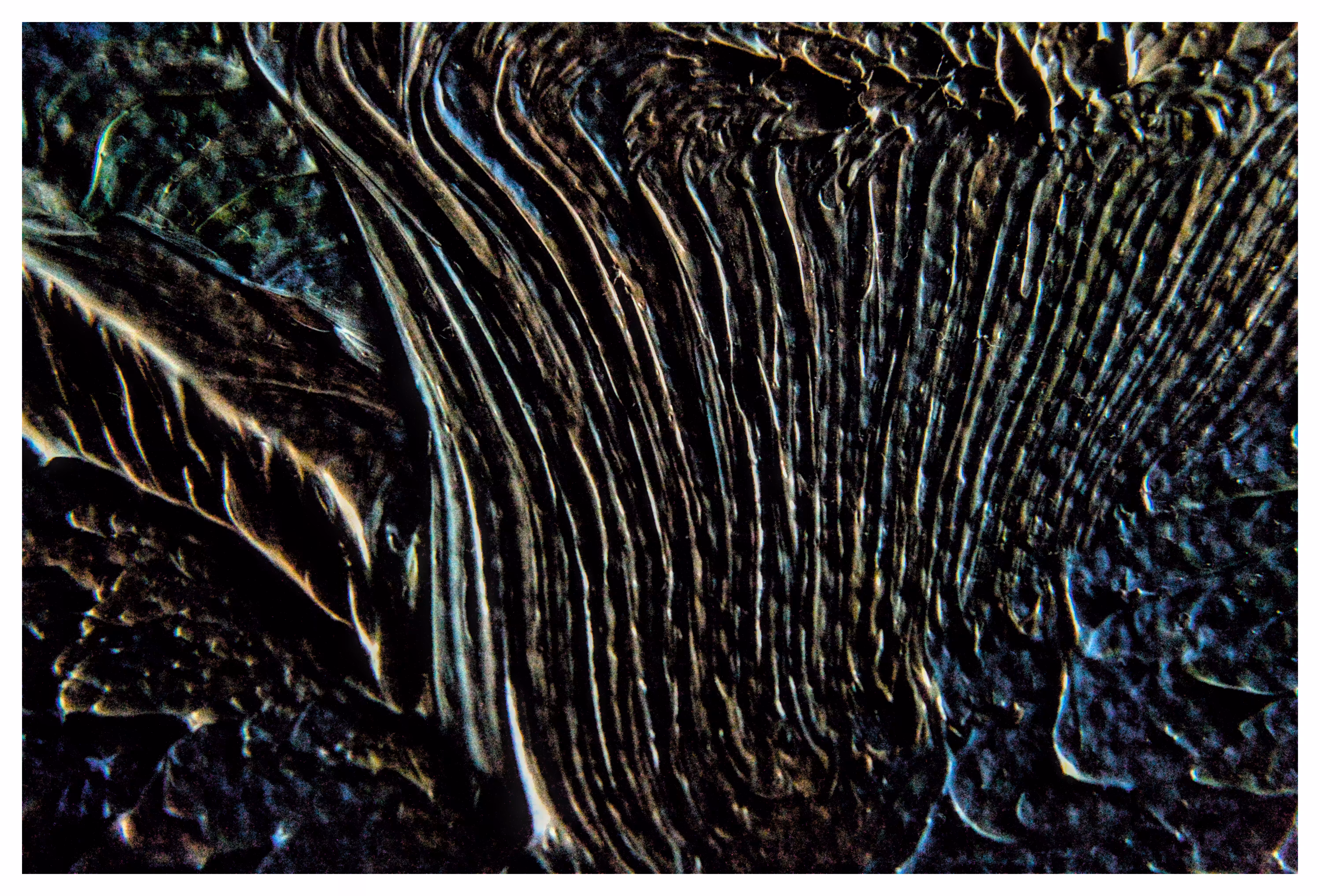 #01