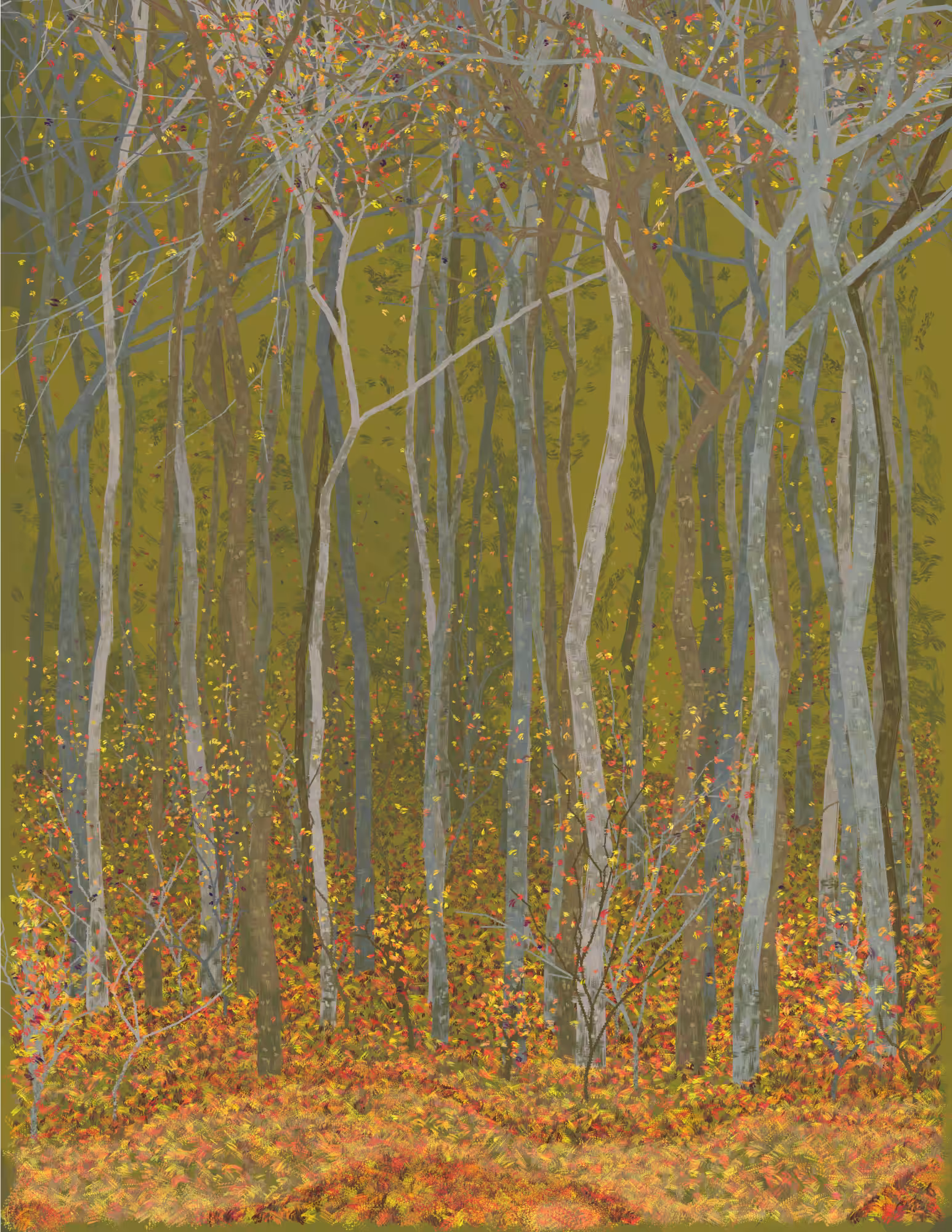 Deep Forest #177