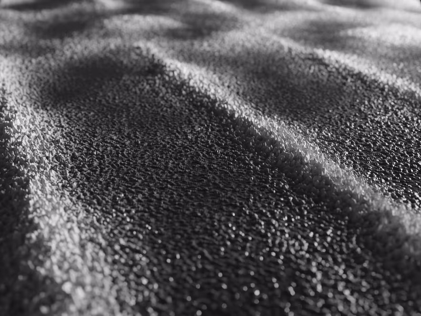PHYSARUM LANDSCAPE #13