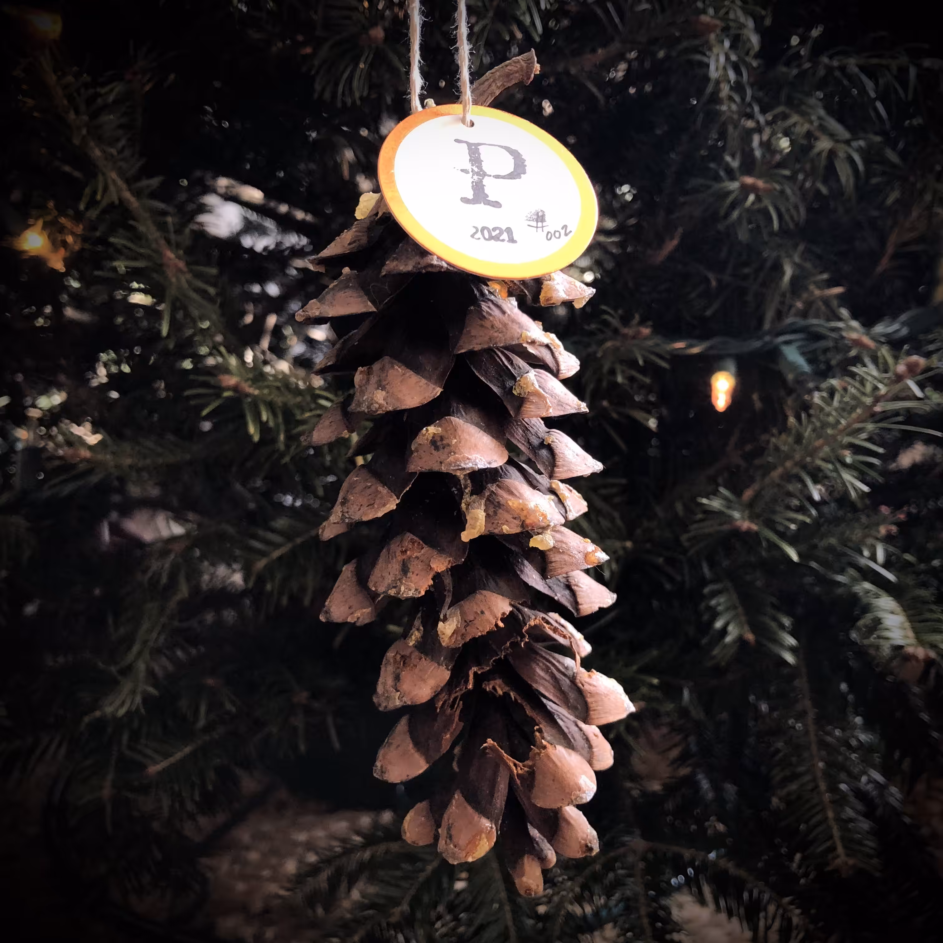 Pinecoin 2021 #002