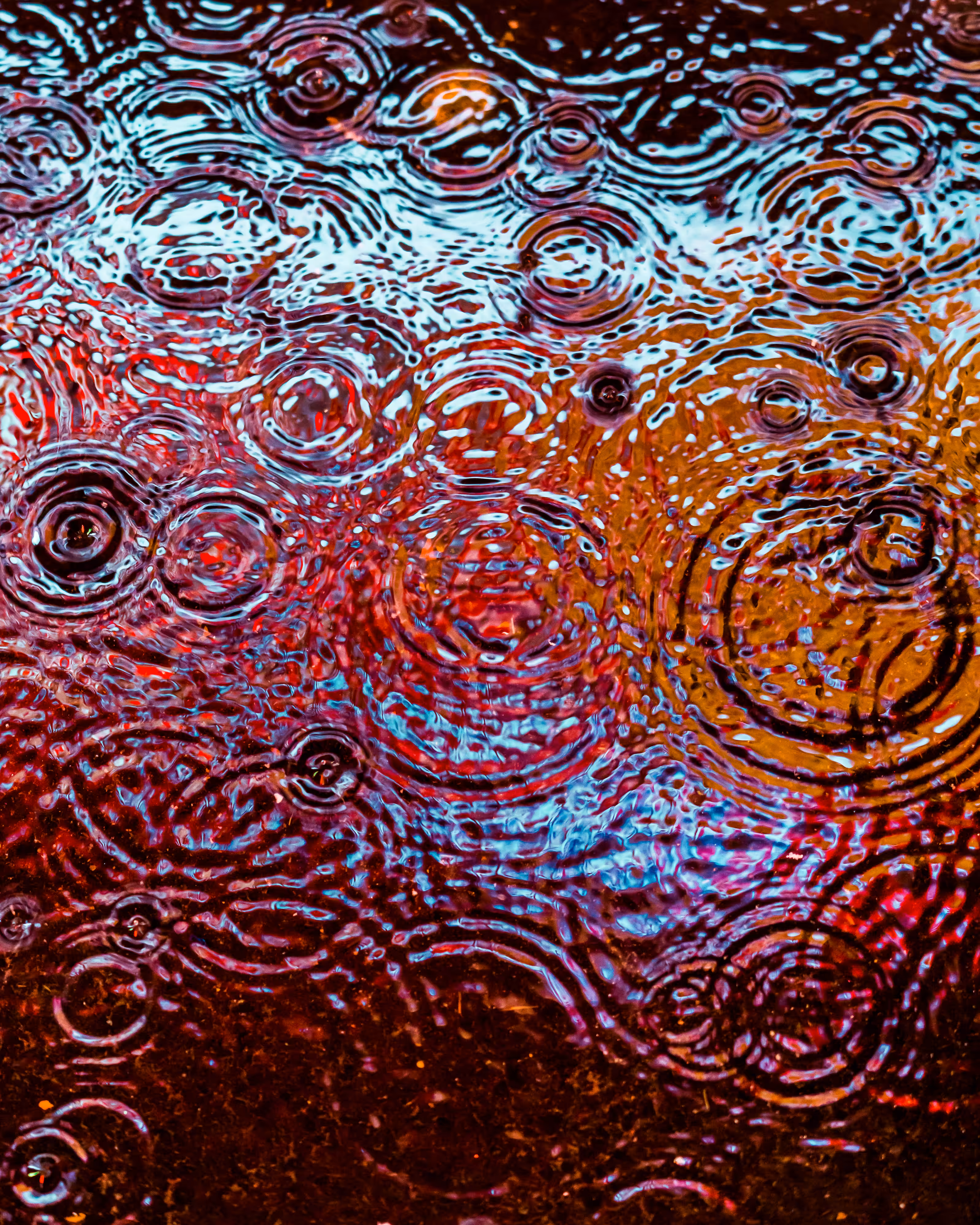 DRIP DROP: DRIP #254