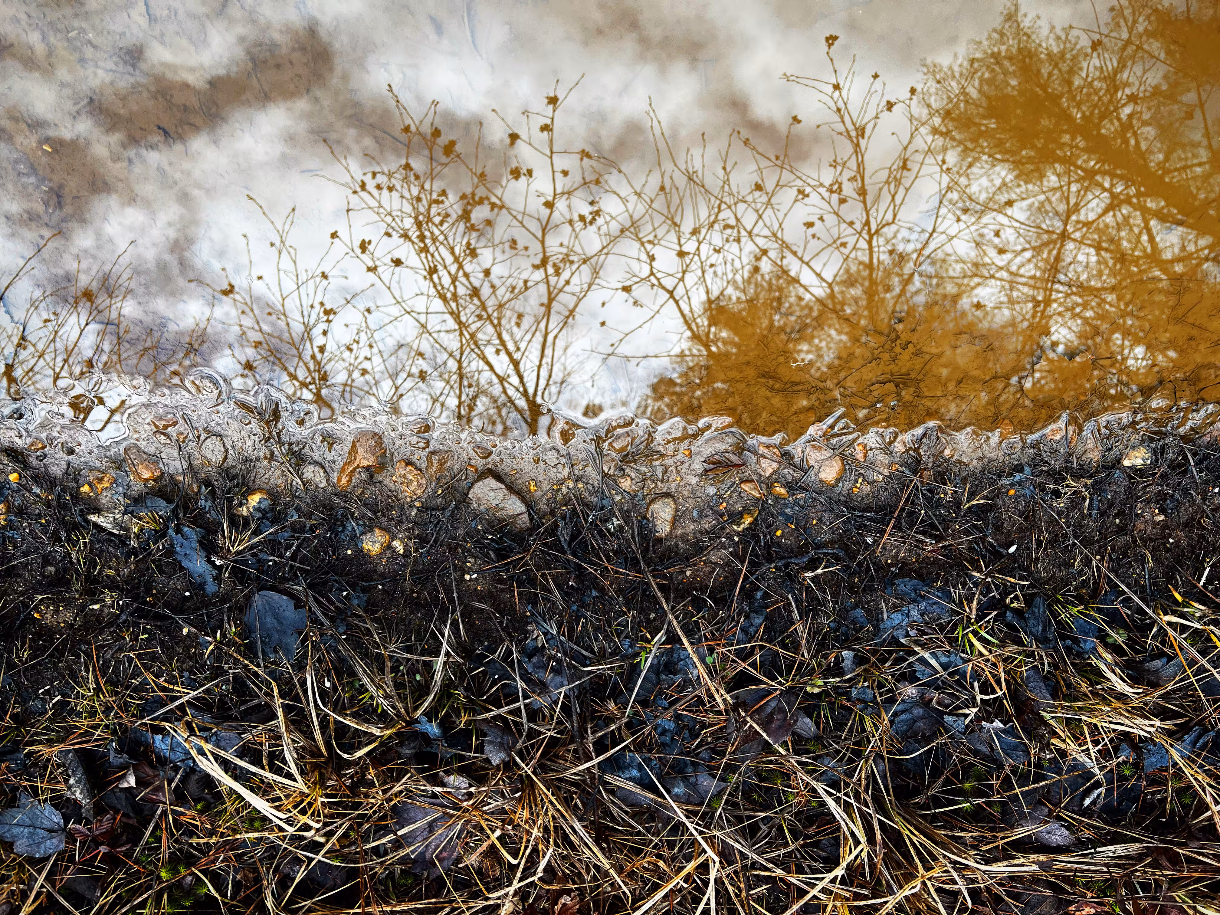 From Our Walk #5