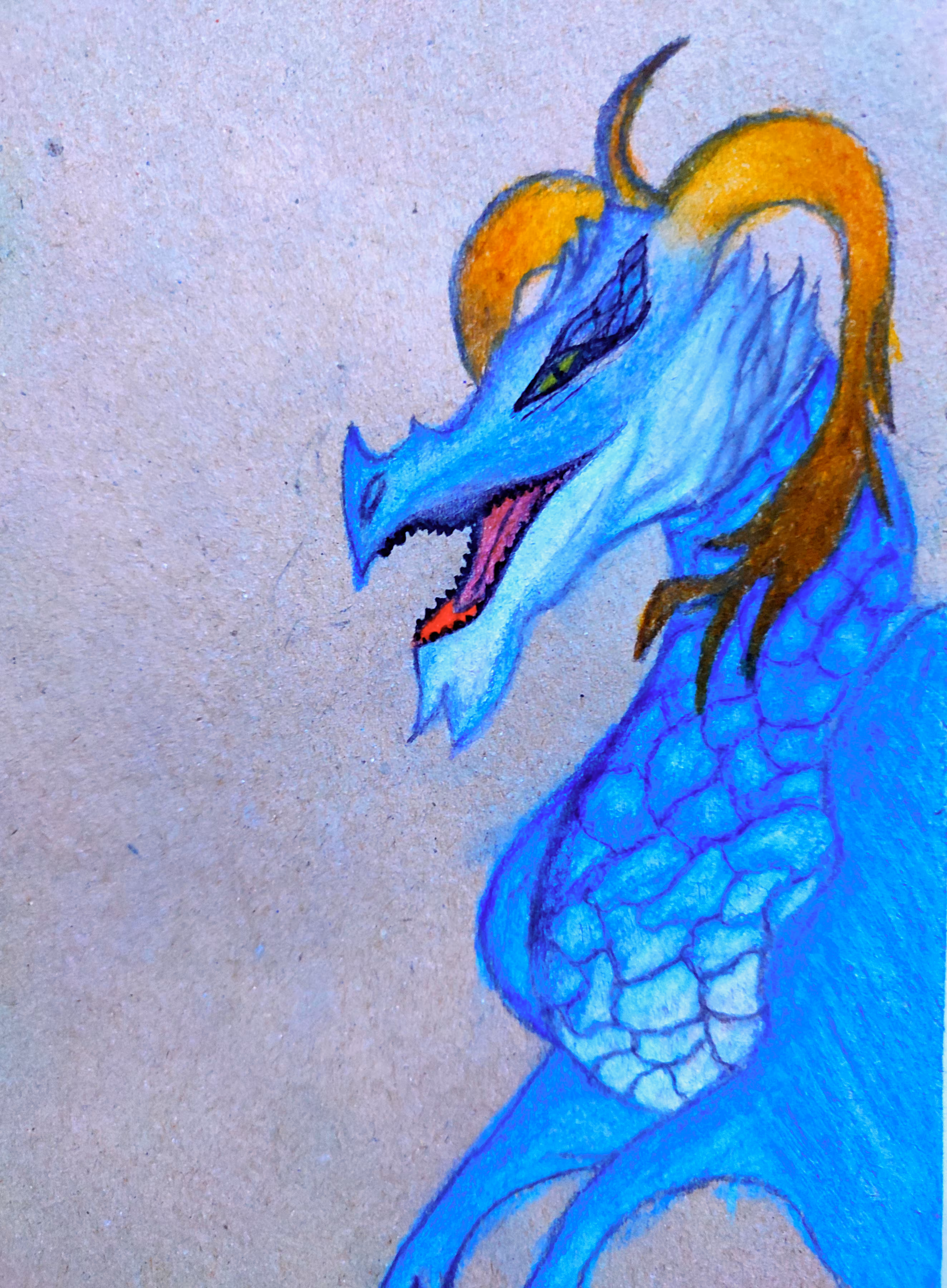 Blue dragon