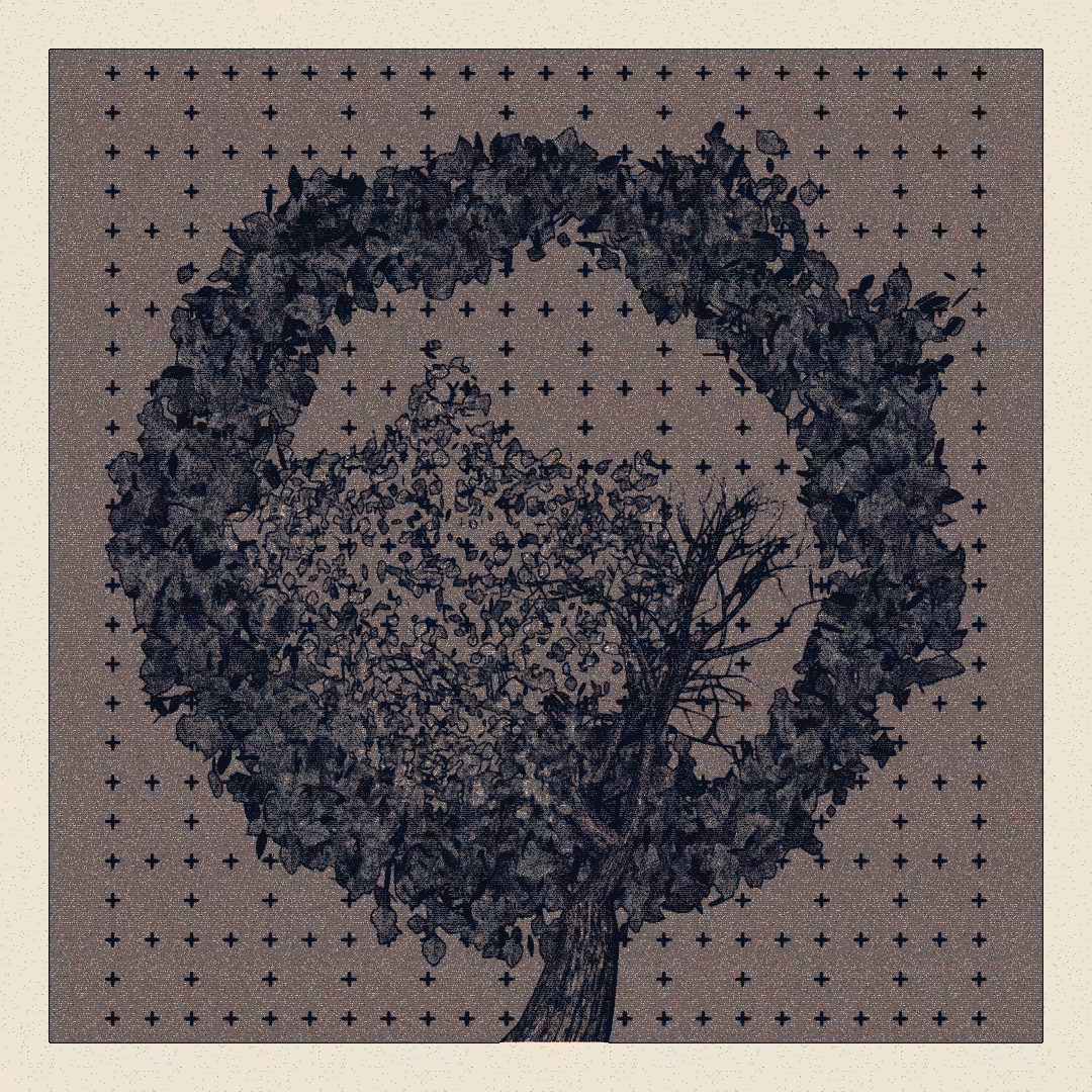 _argania[primaria] #226