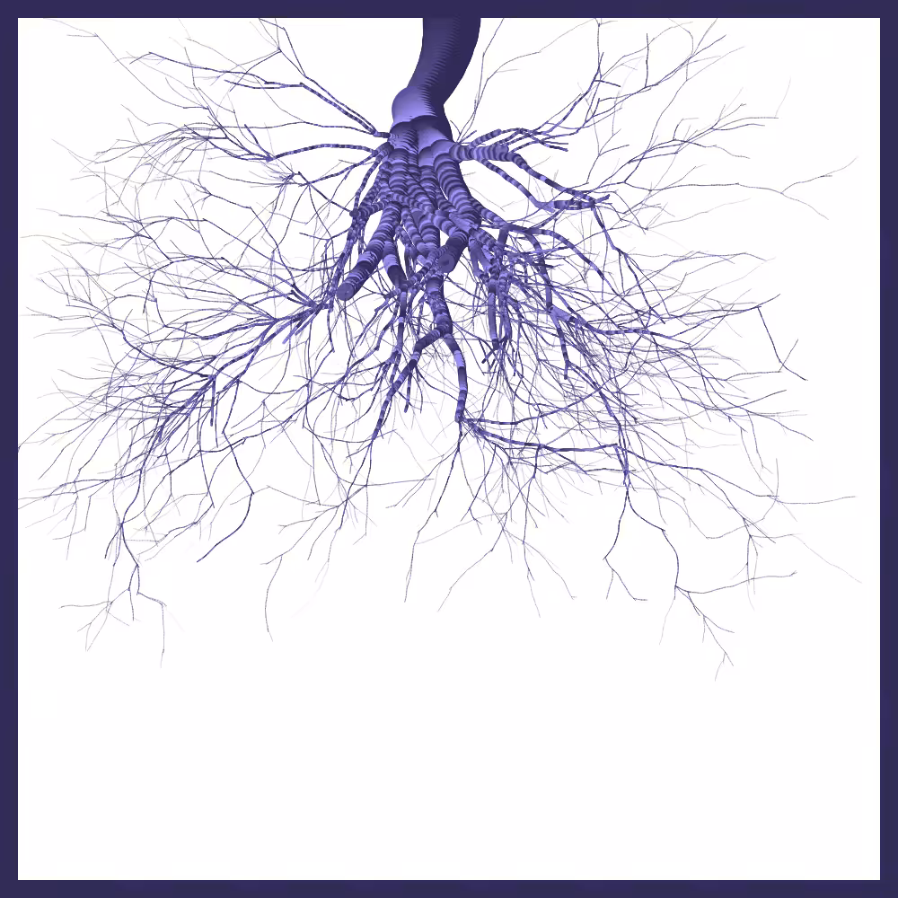 Arbres suspendus #194