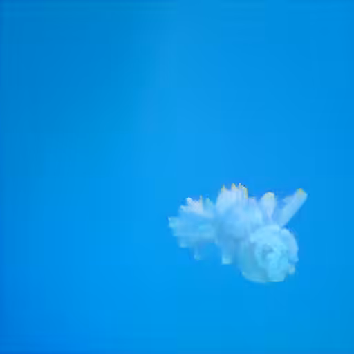 Slow Movements in the Deep