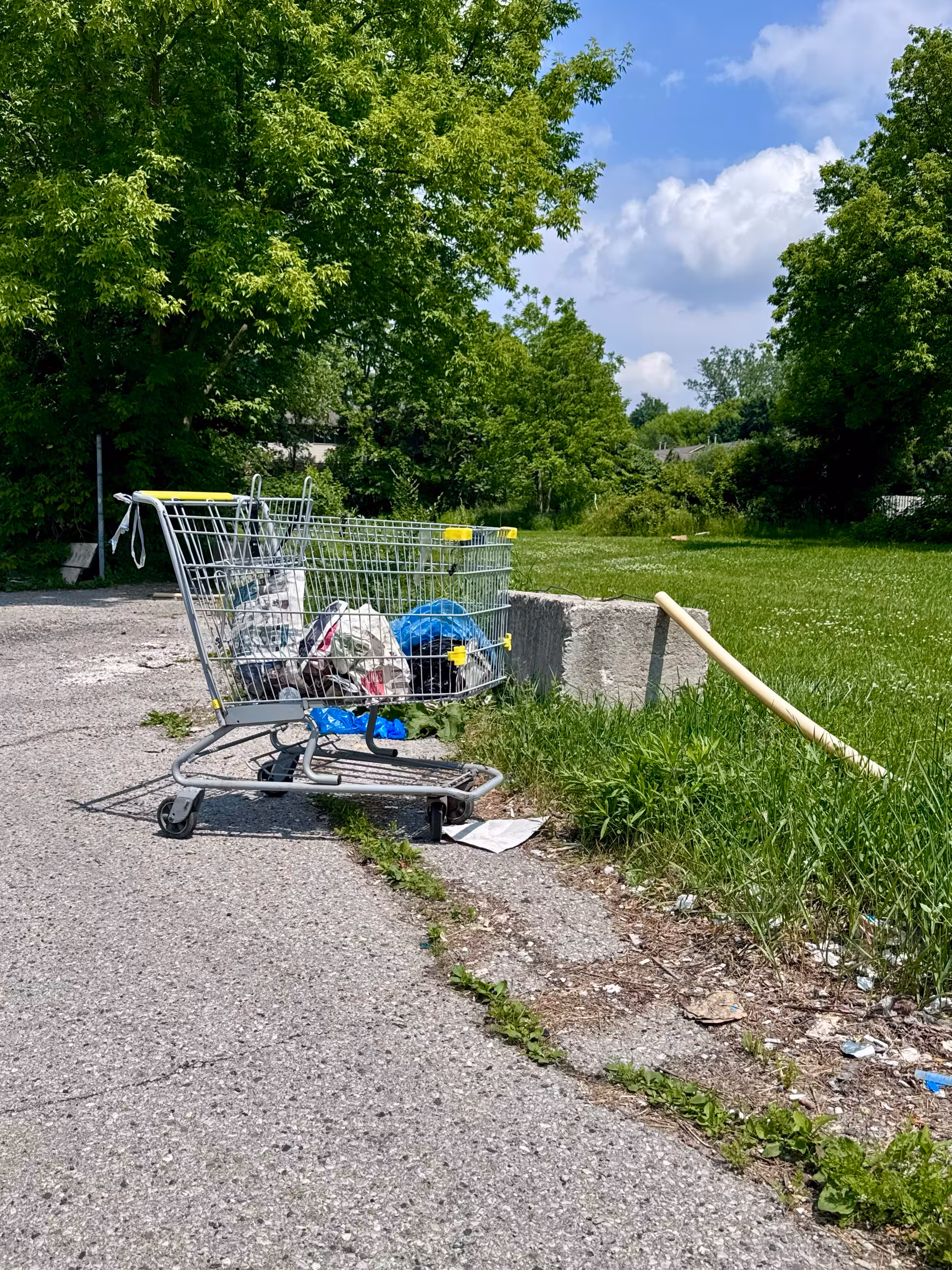 Candid Cart
