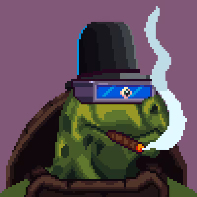 Turtles #20