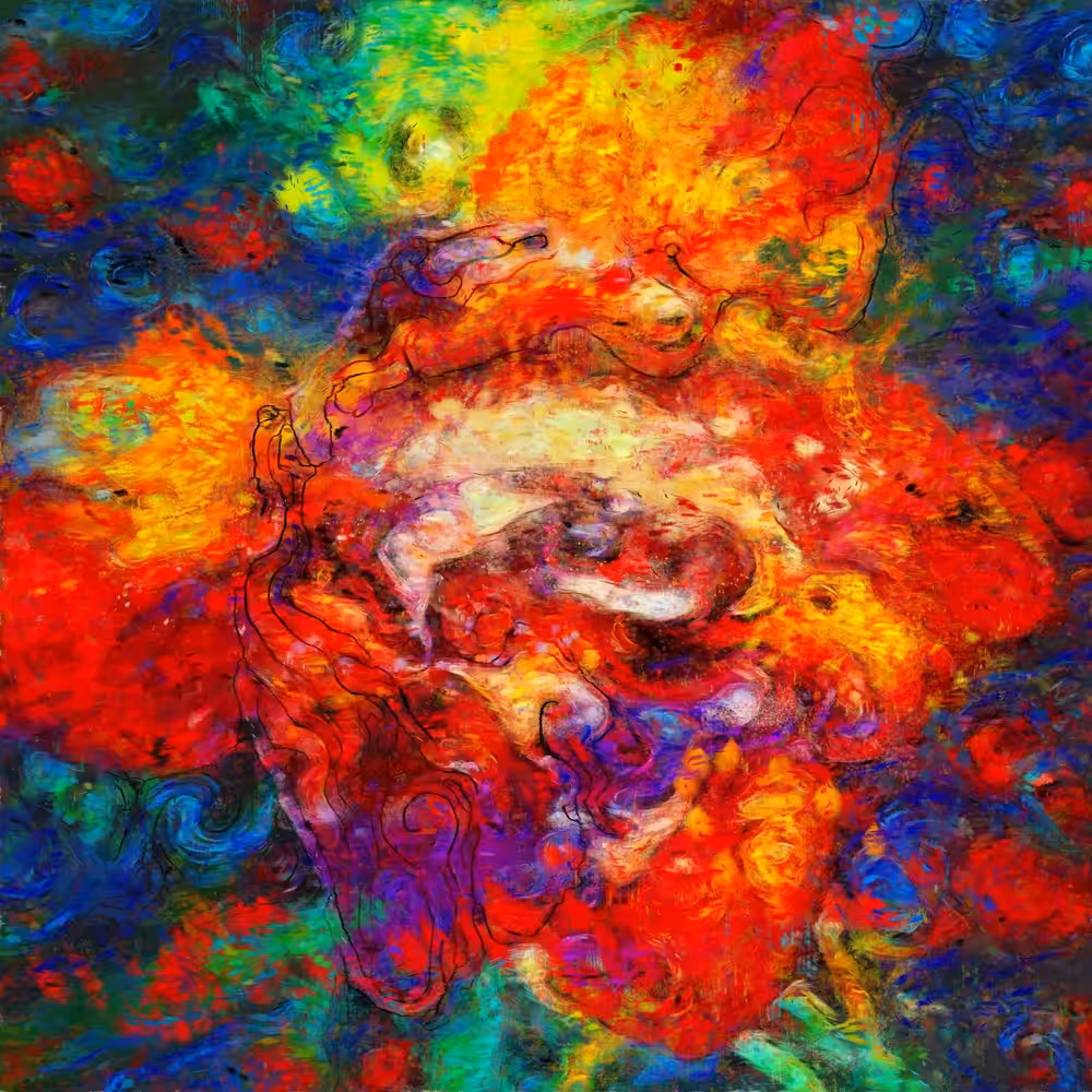 The Magic of the Red Rose