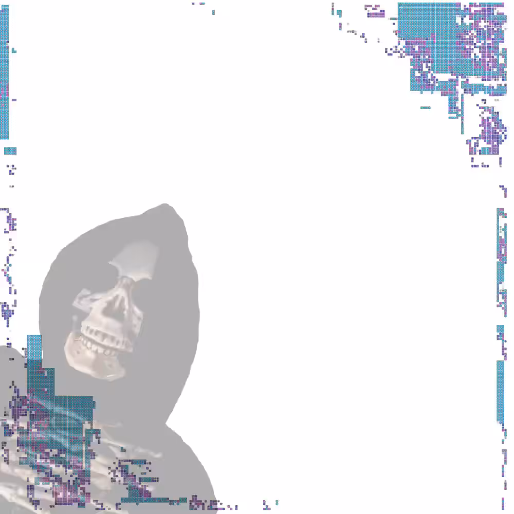 INTROSPECTION