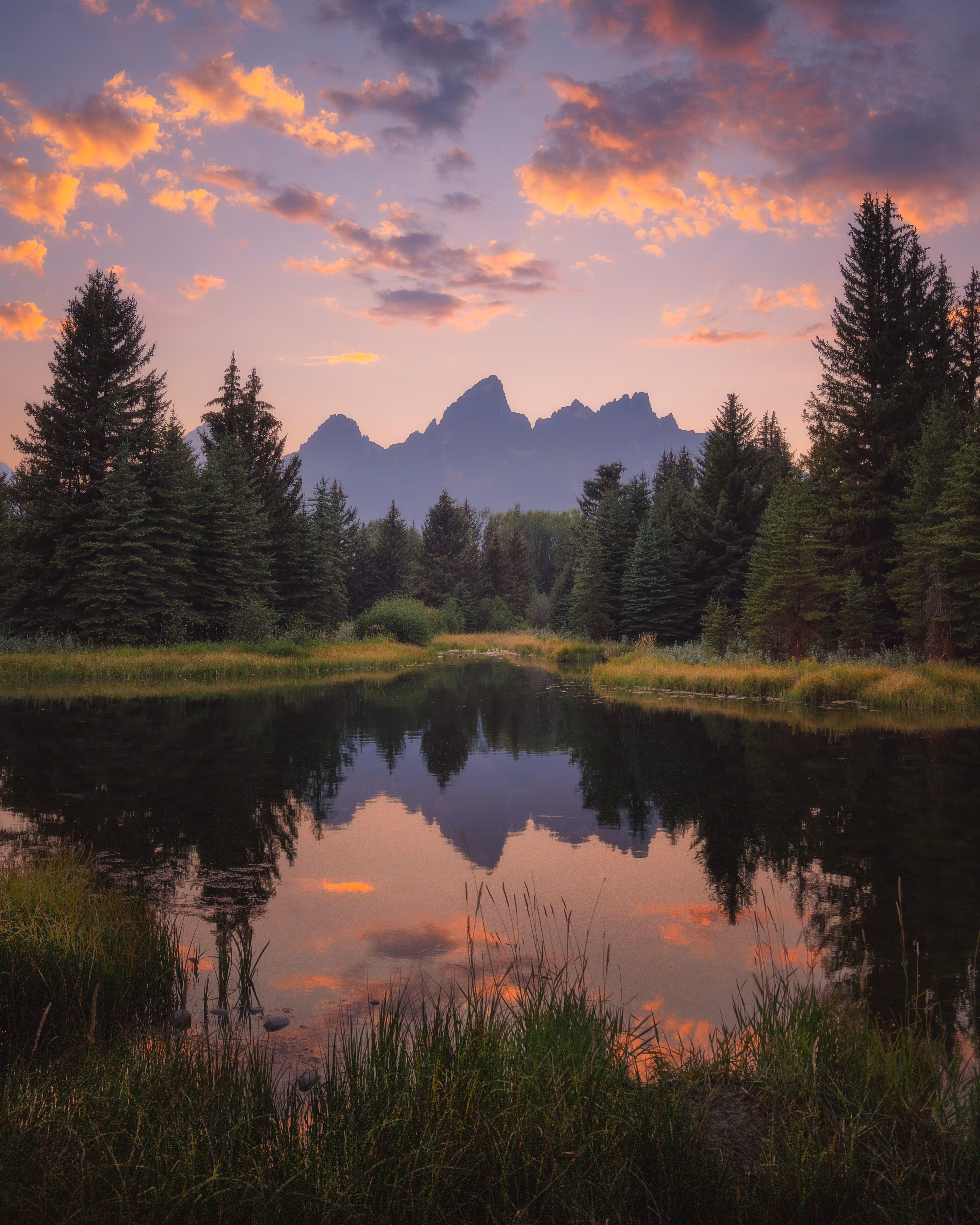 Stillness Reflected | Nature’s Beauty