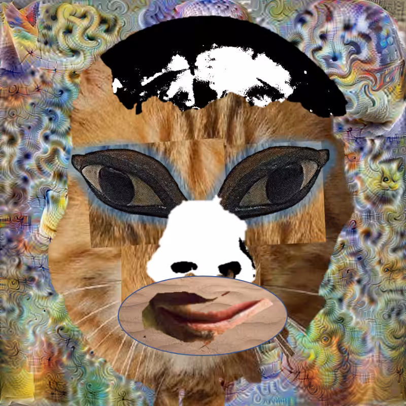 A collage of collages #197