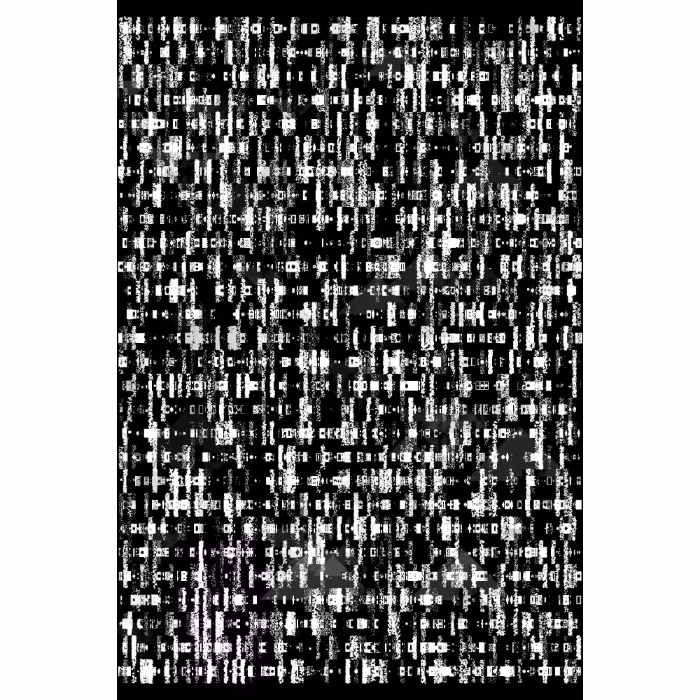 Etude B&W #87