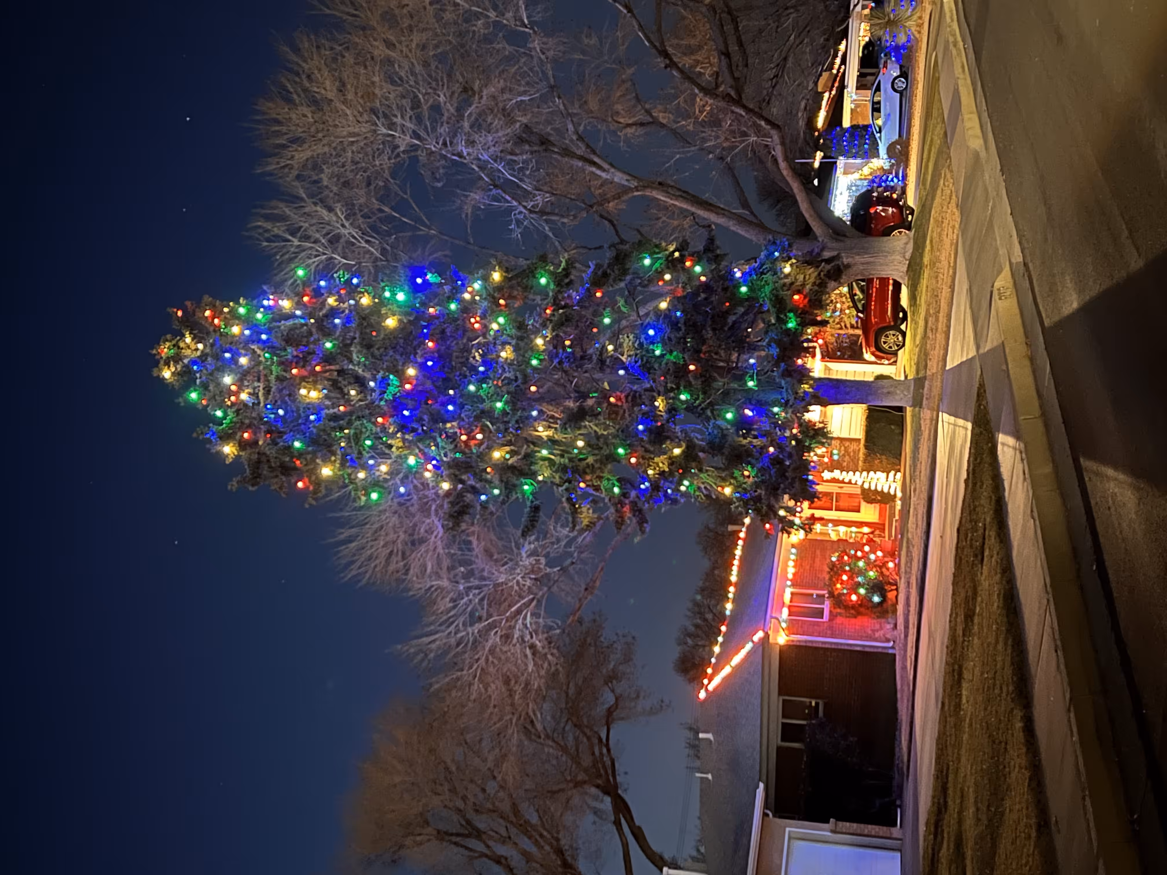 Suburban Christmas
