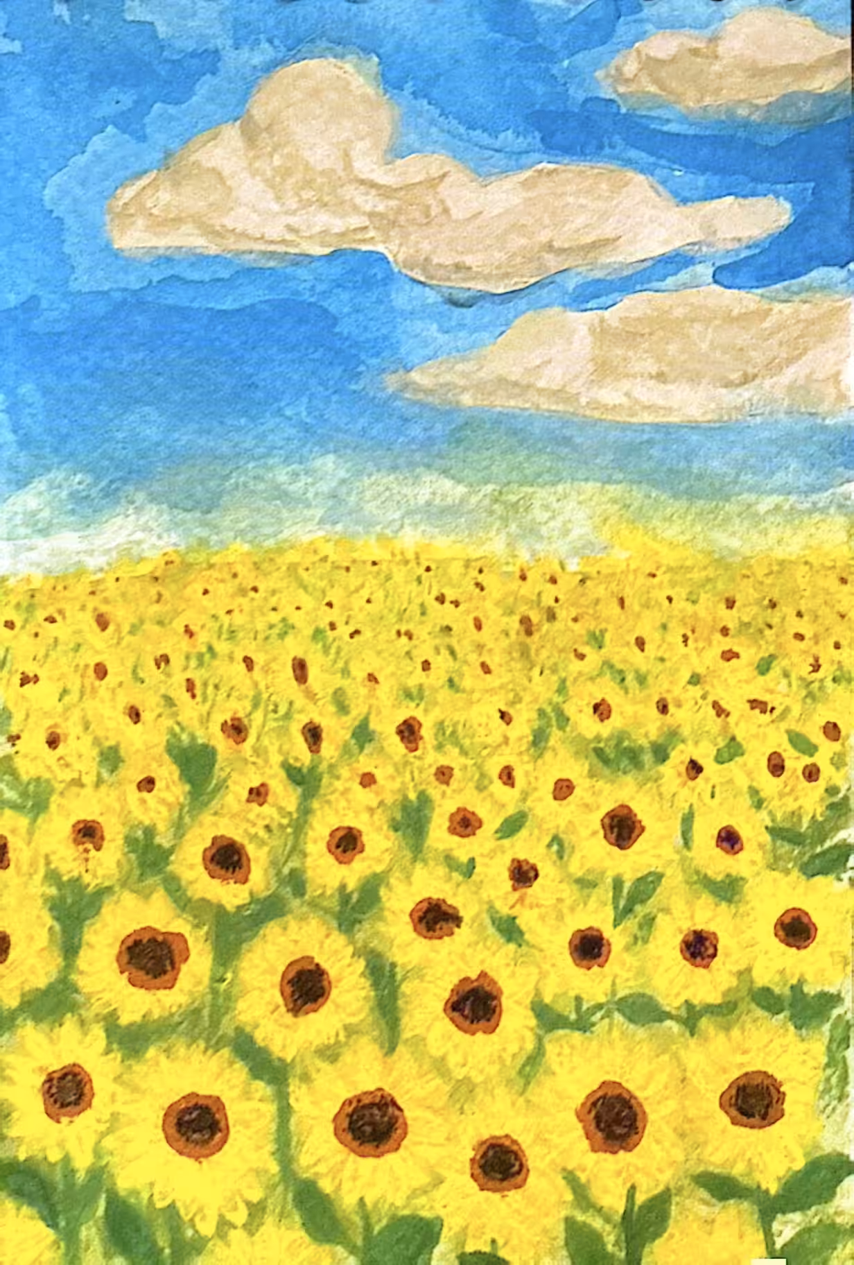 Sunflower farm